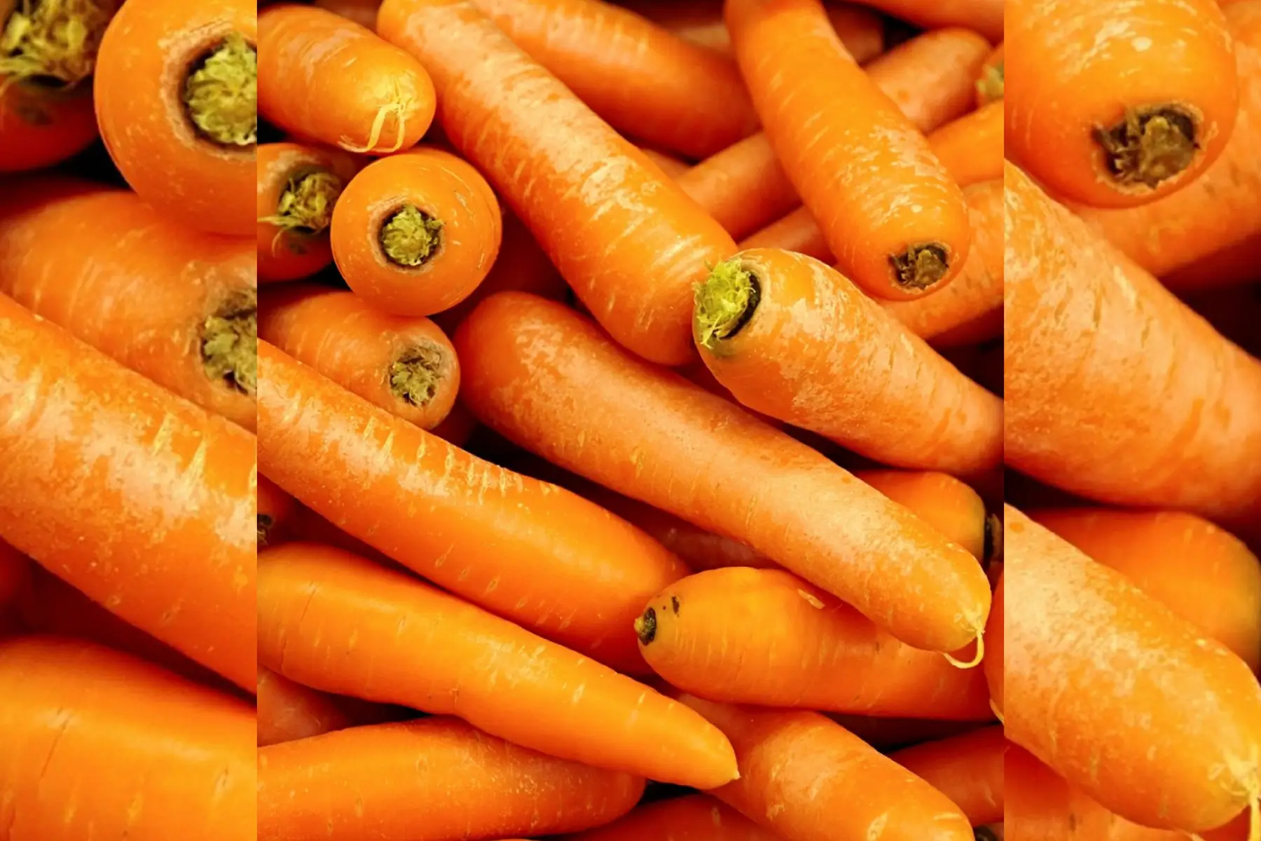 Carottes vrac