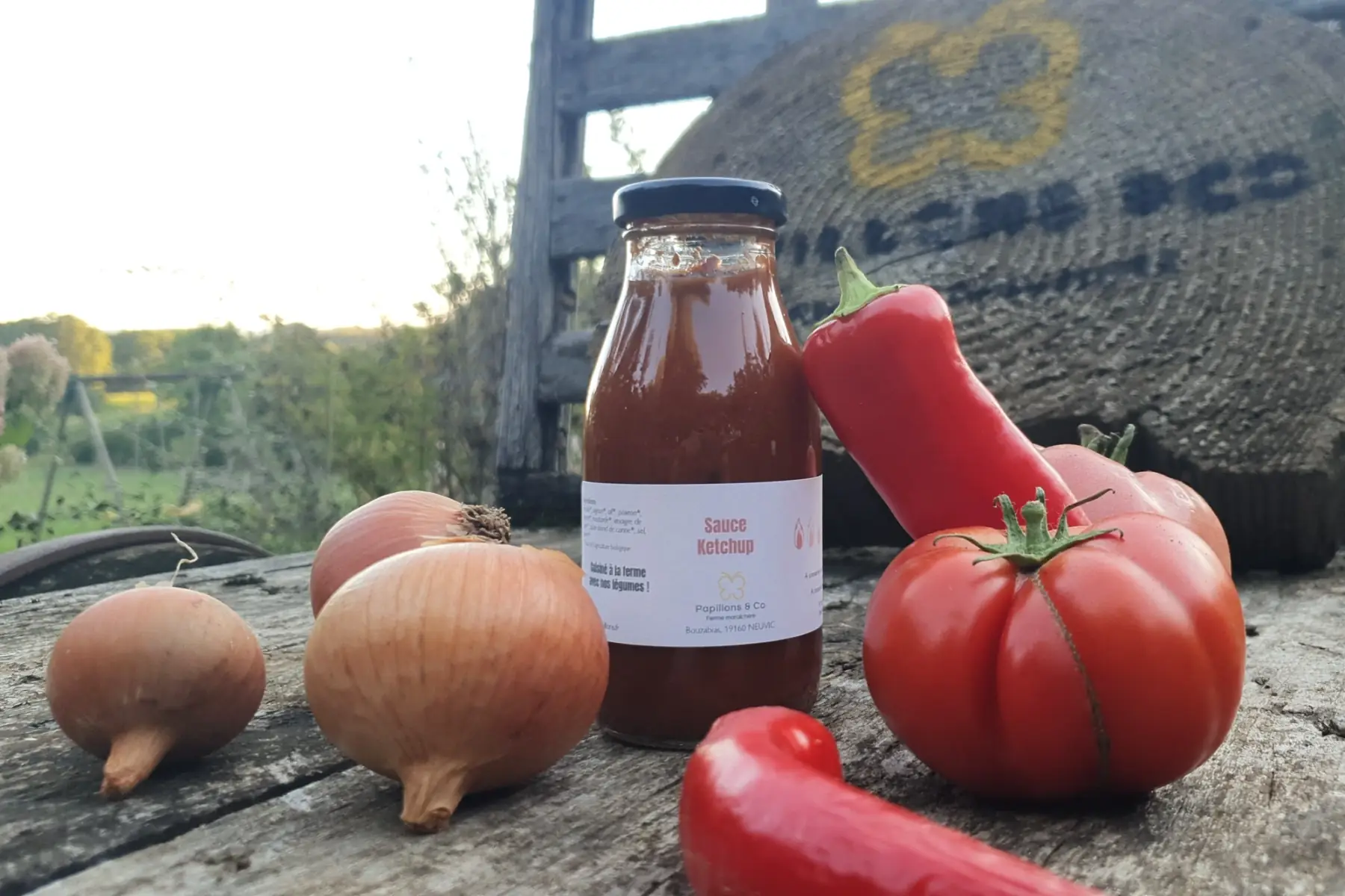 Sauce ketchup épicée