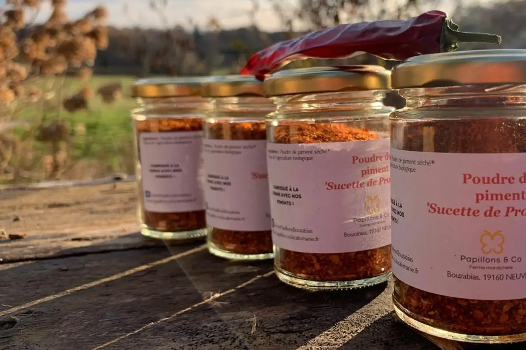 Pot poudre de piment Sucette de Provence