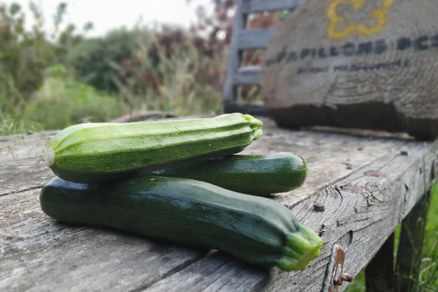 Courgette