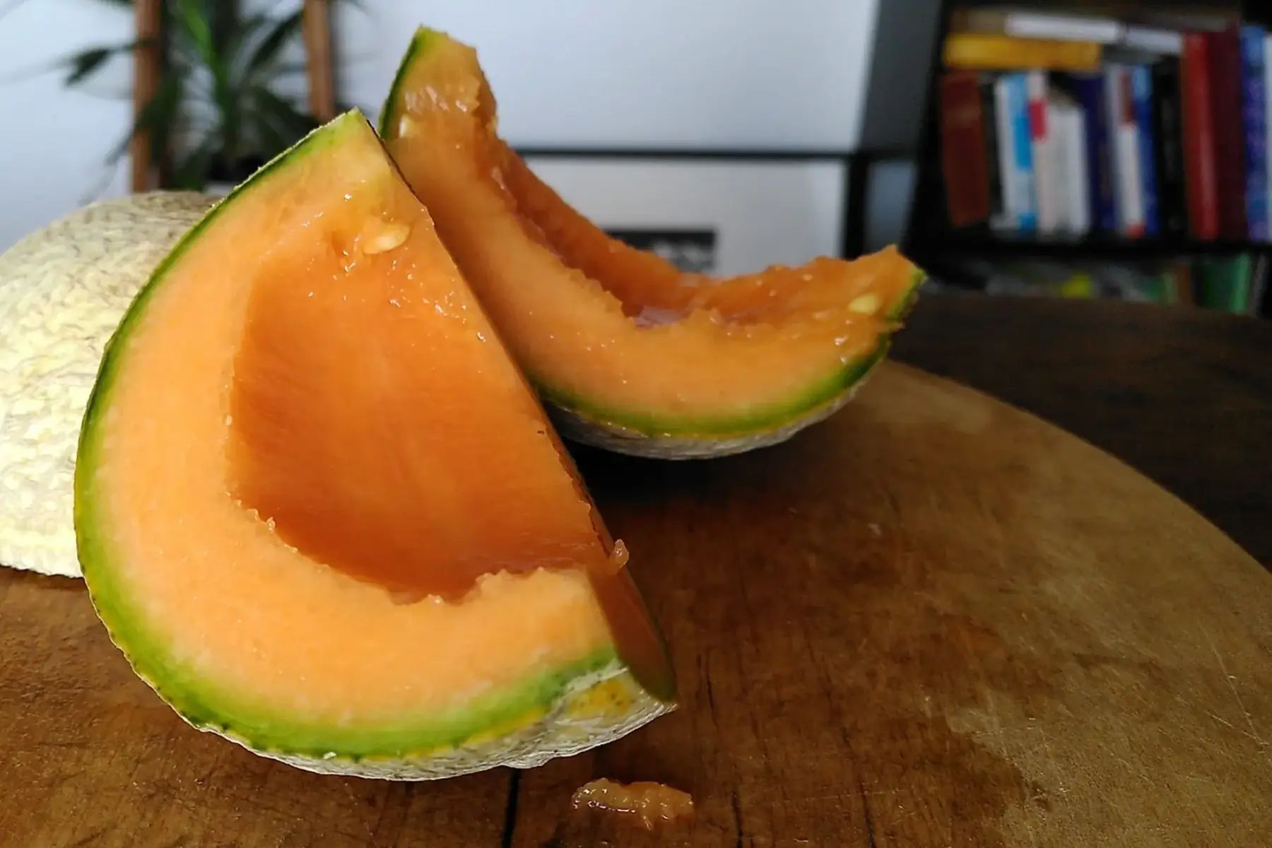 Melon