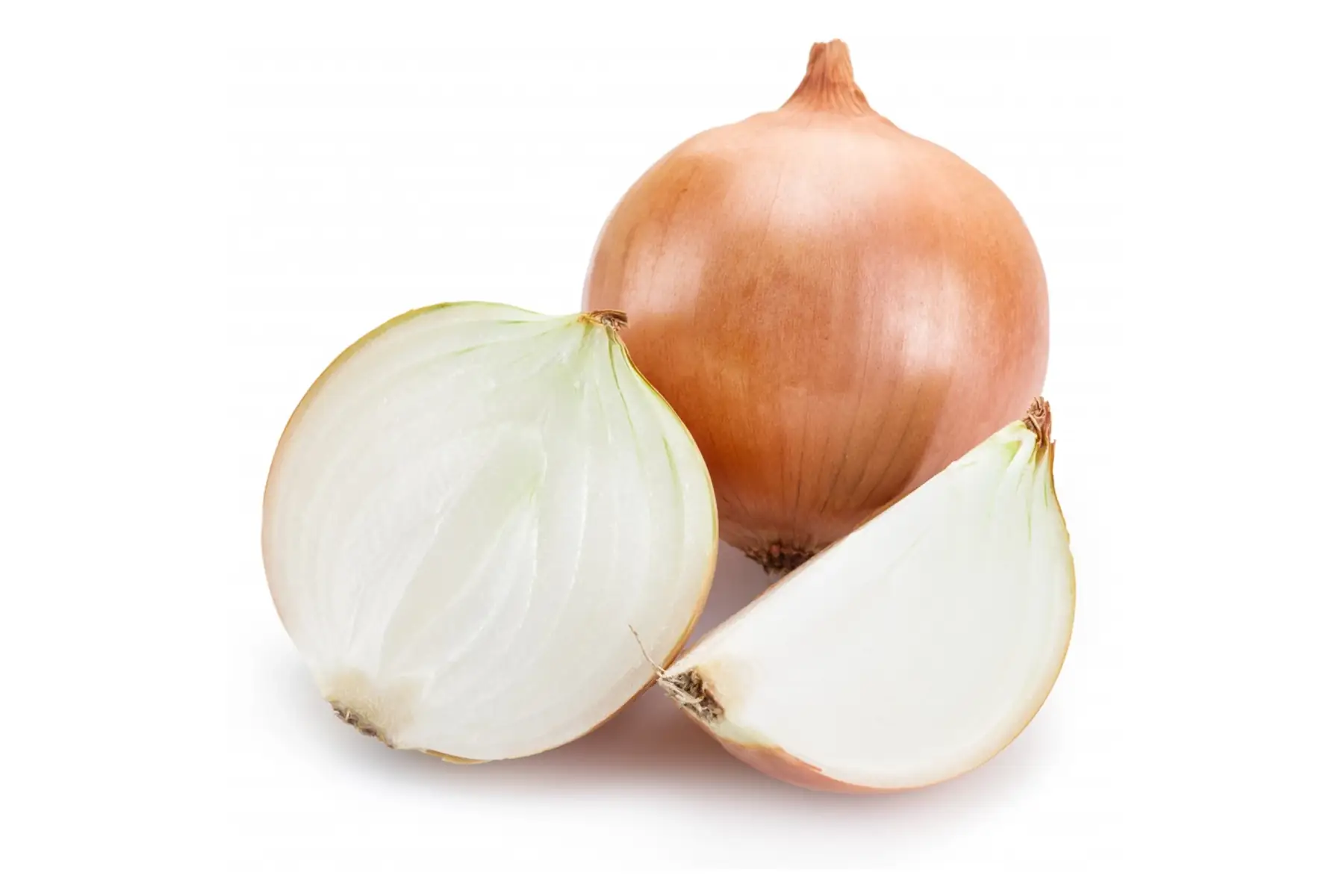 Oignons