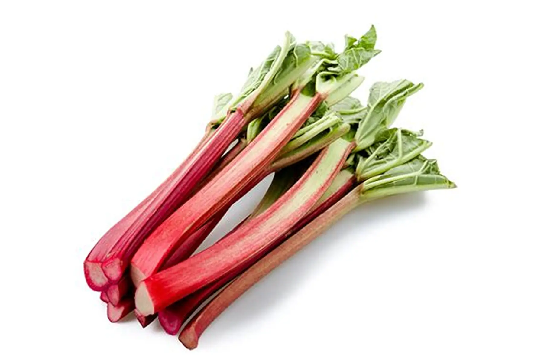 Rhubarbe