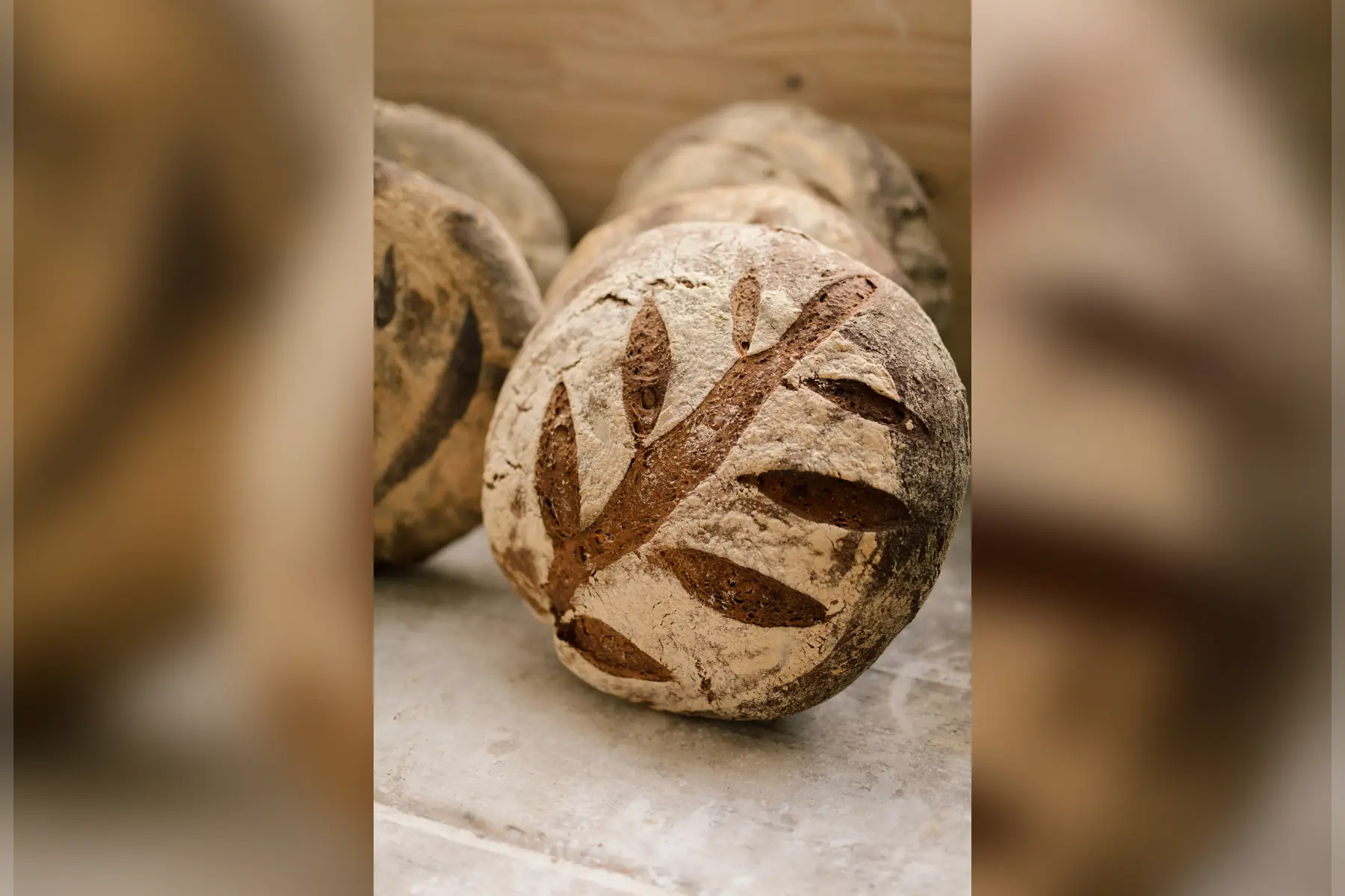 La vie dans les champs (Rhizome)