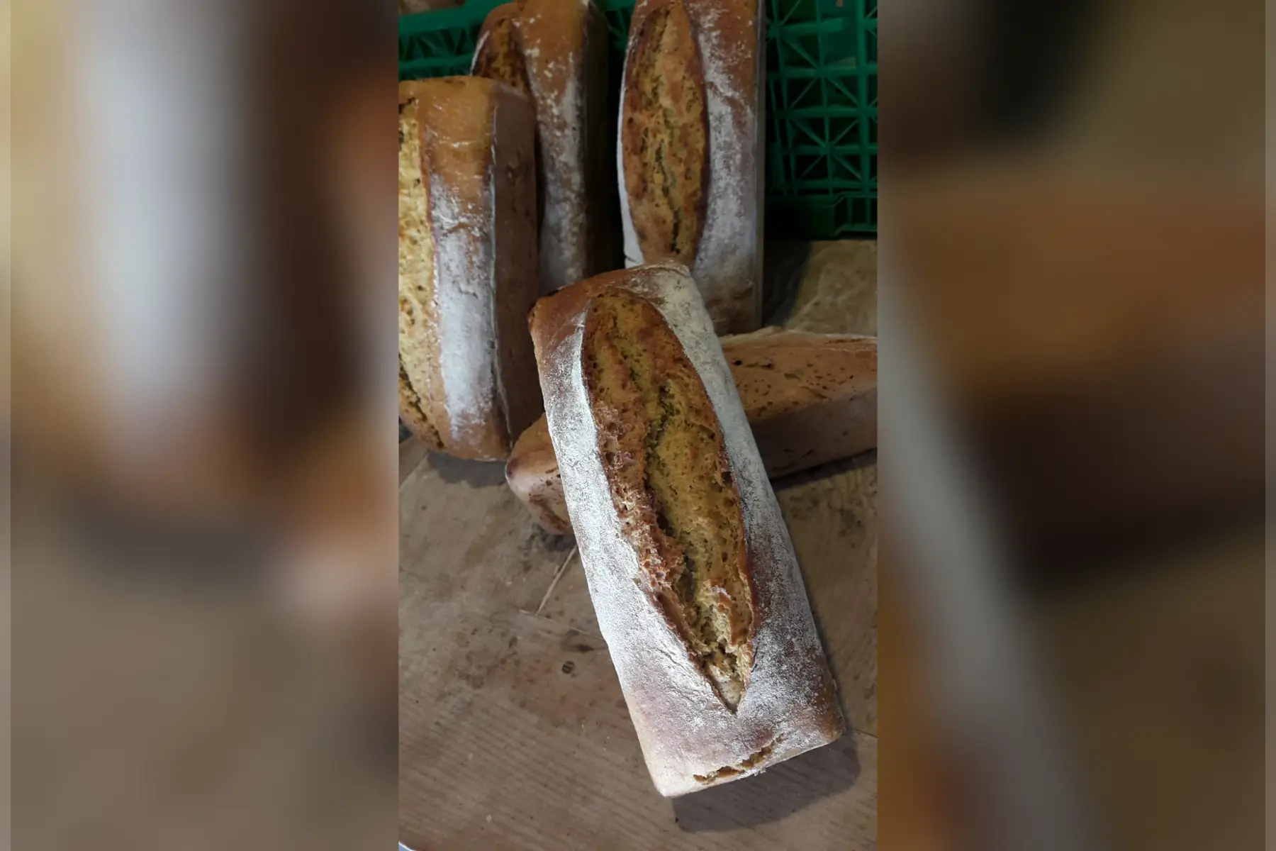 Petit épeautre (moulé)