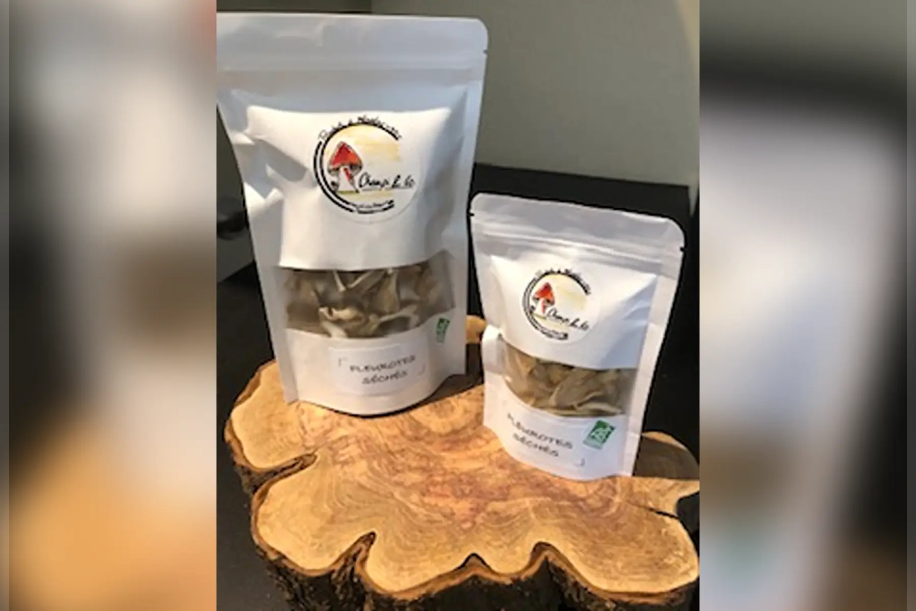 PLEUROTES BIO séchés 30g