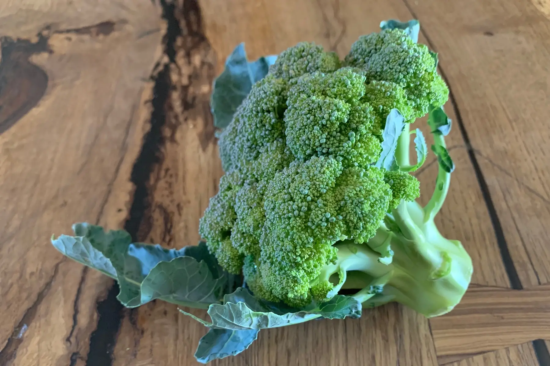Brocoli