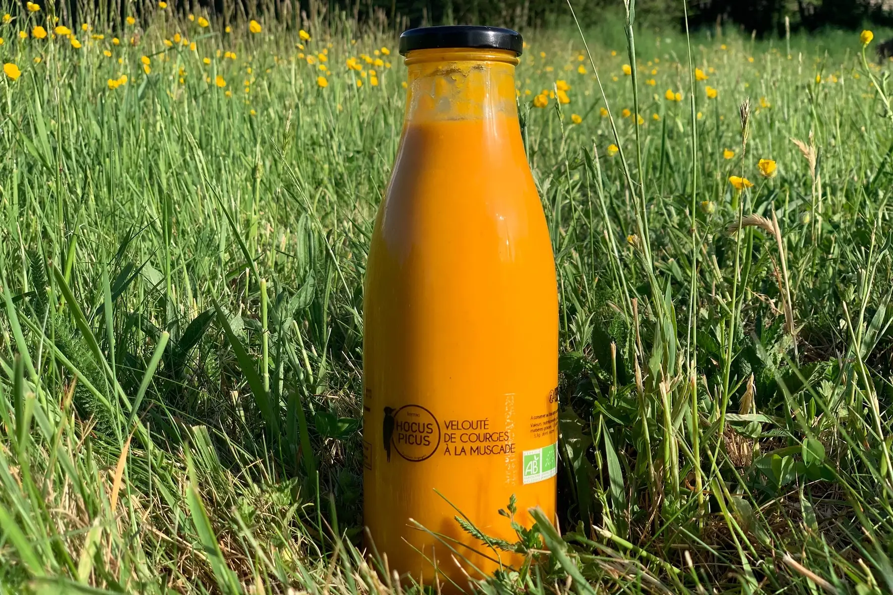 Velouté de courges à la muscade