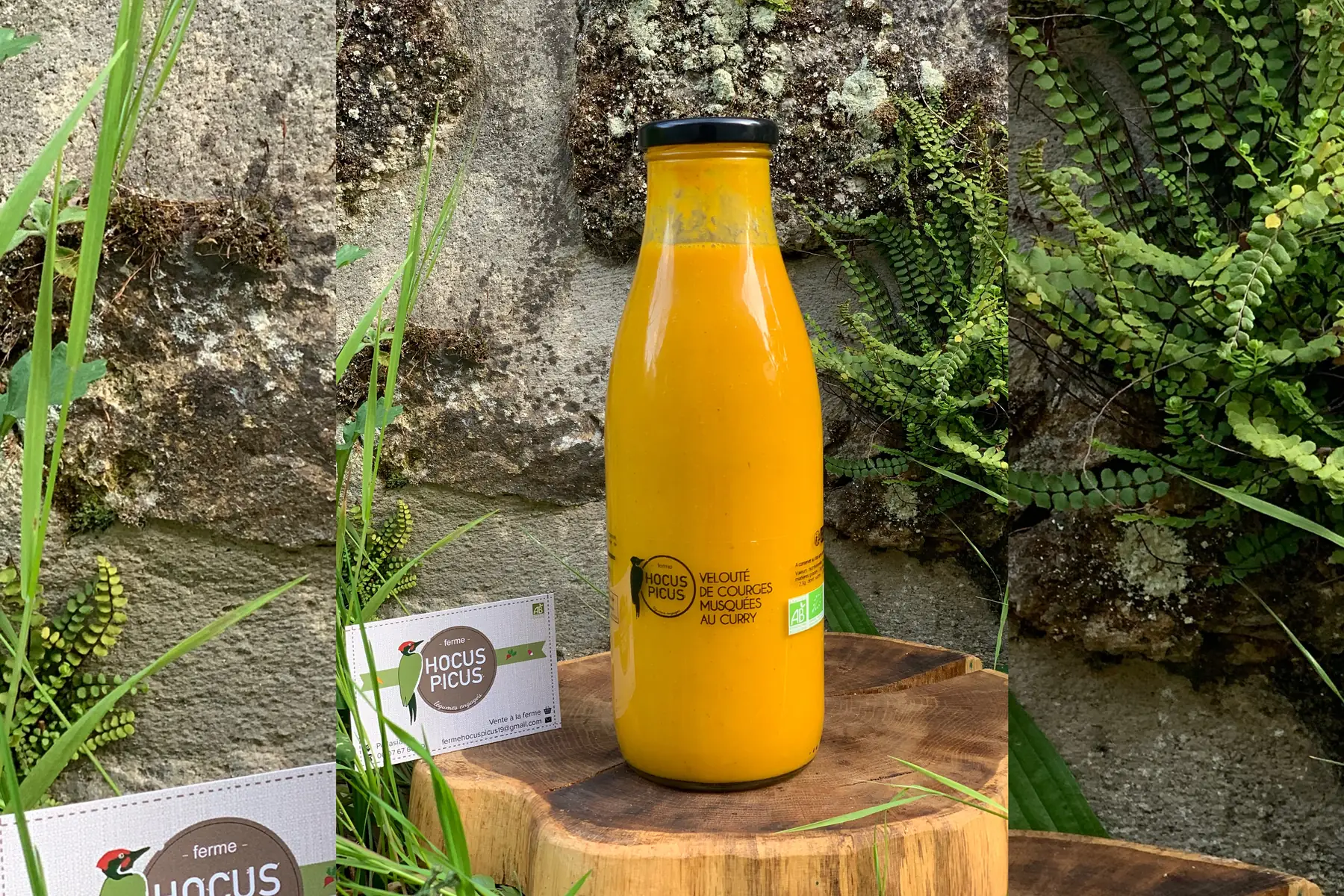 Velouté de courges musquées-curry