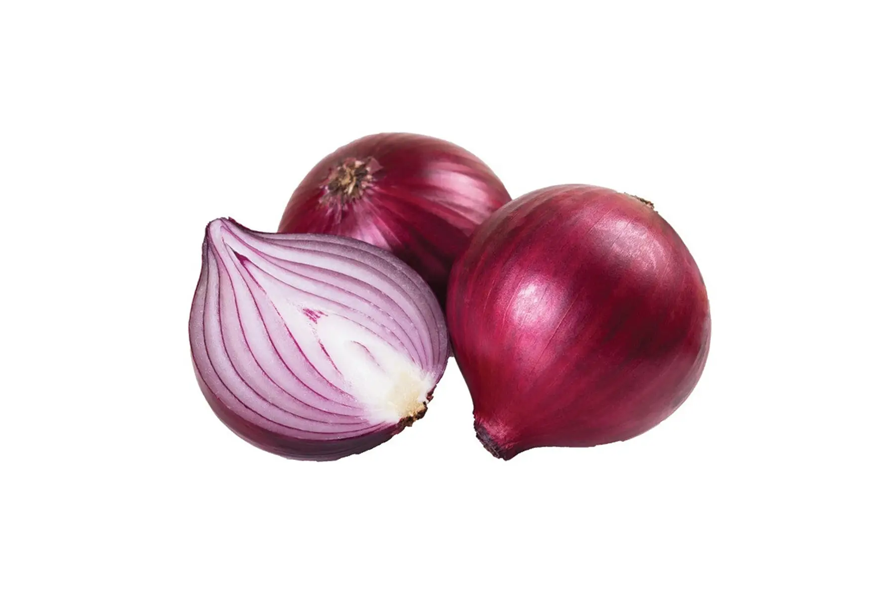 oignon rouge - produit au jardin