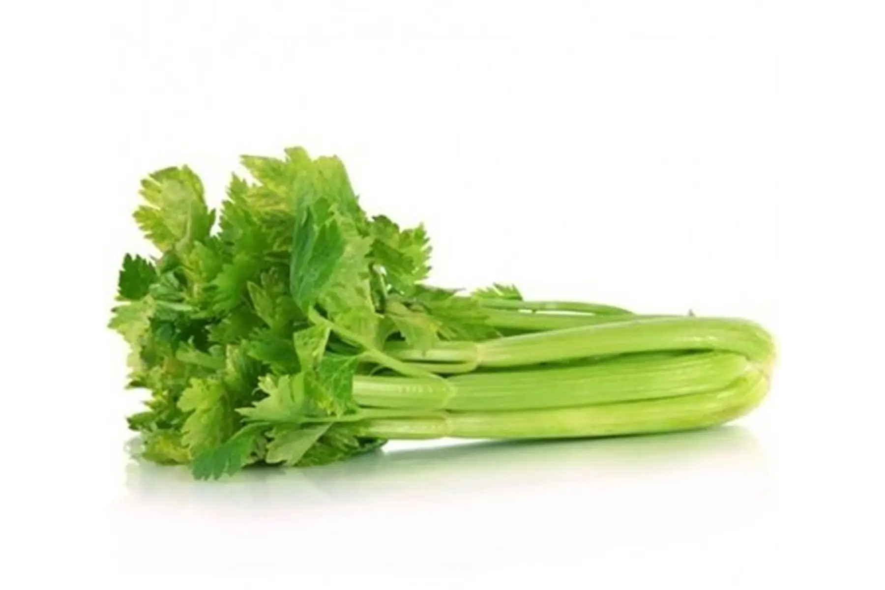 Céléri branche - Produit au Jardin