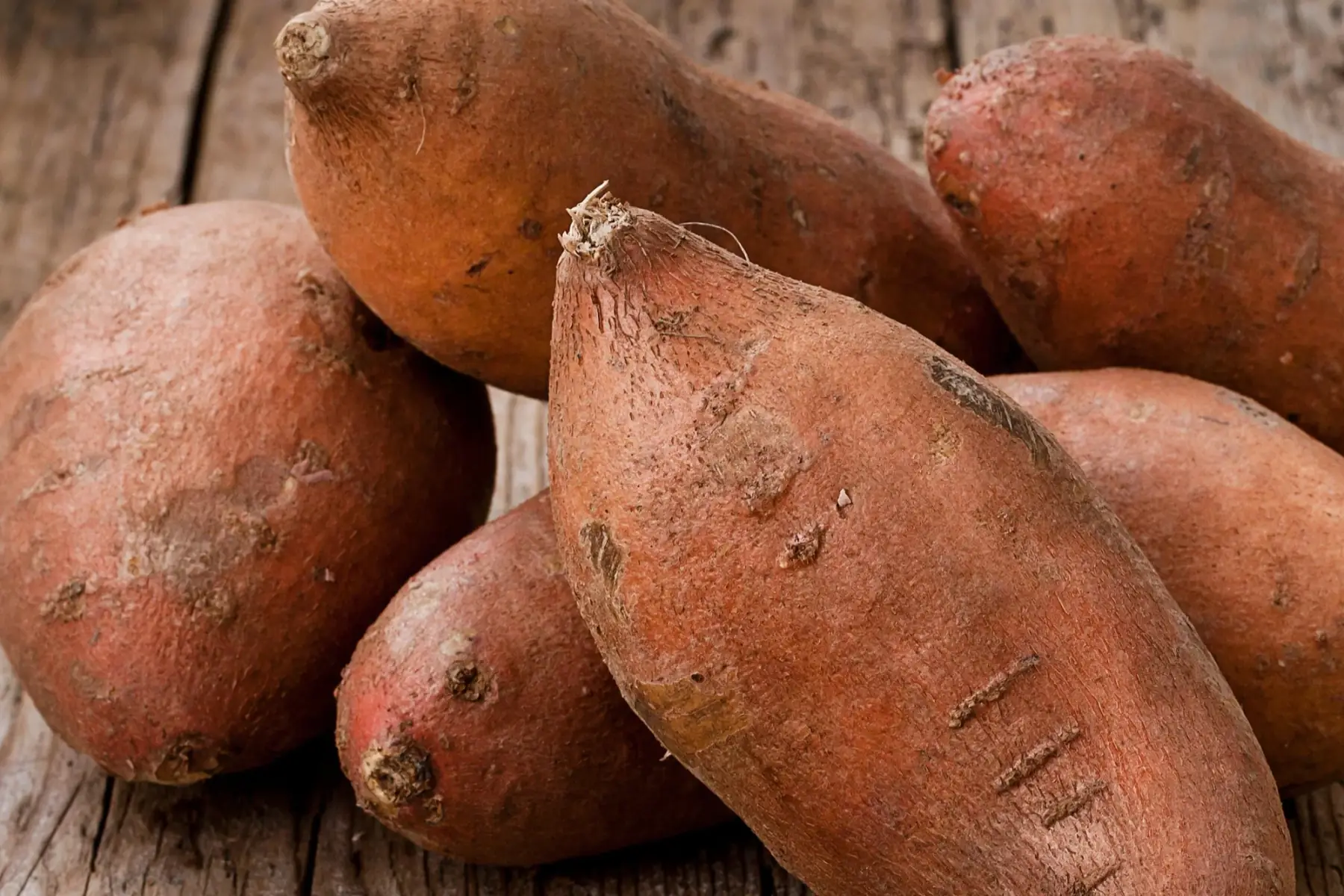 patate douce - produit au jardin
