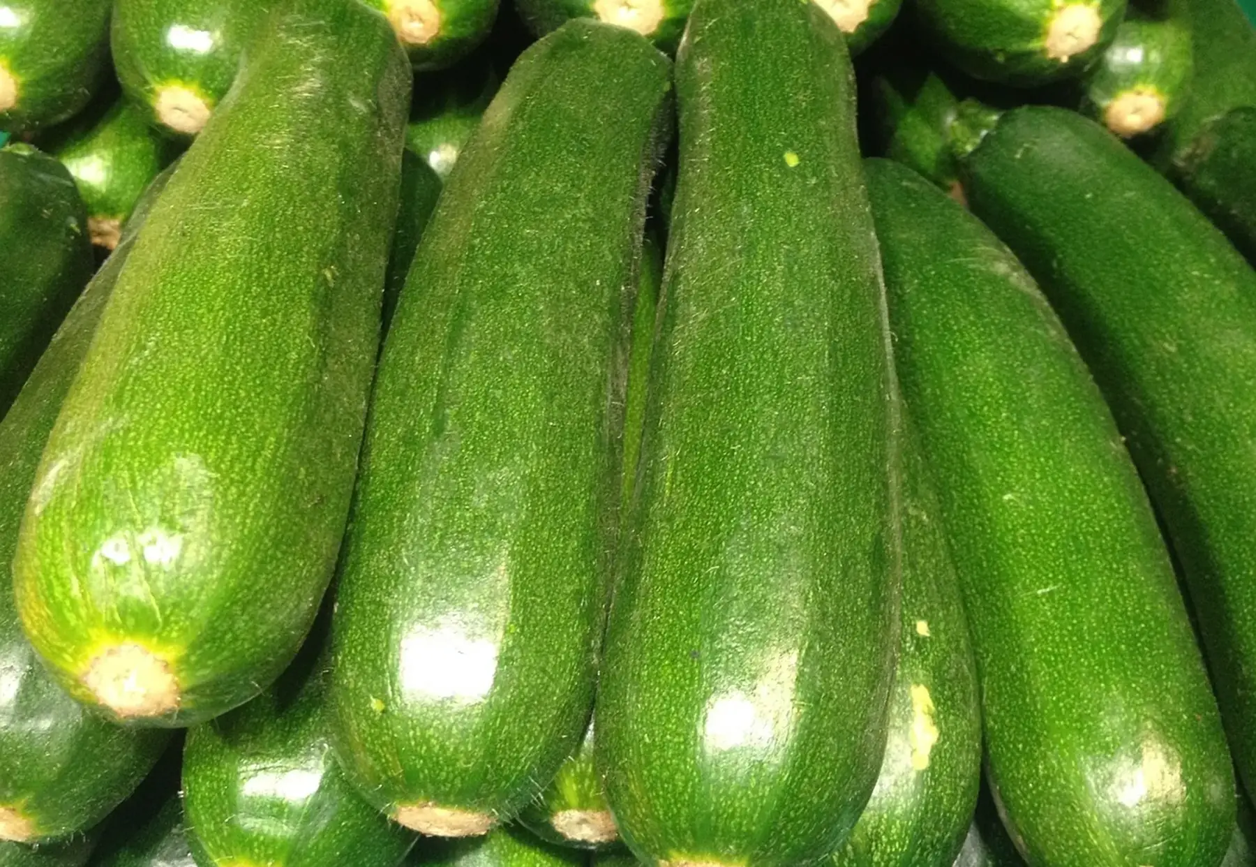Courgette verte