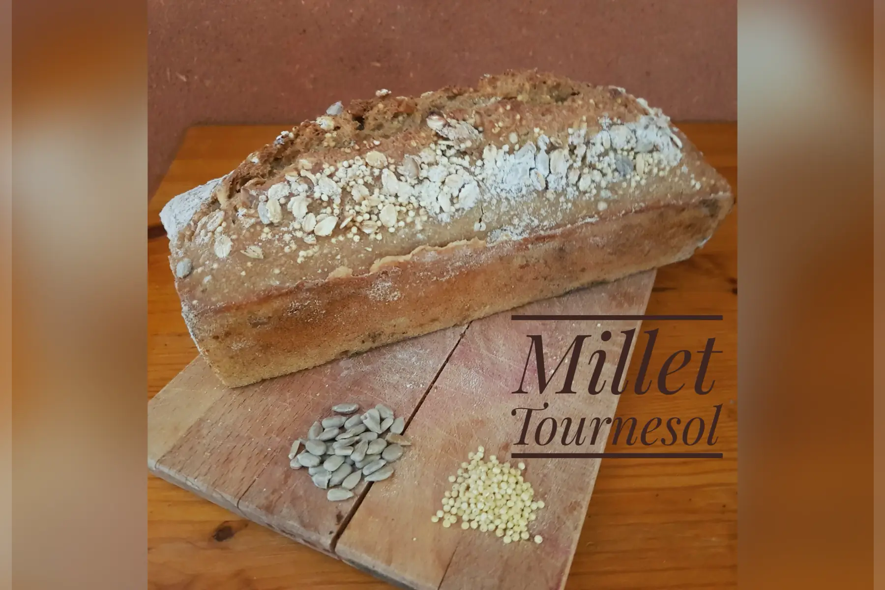 Campagne millet tournesol