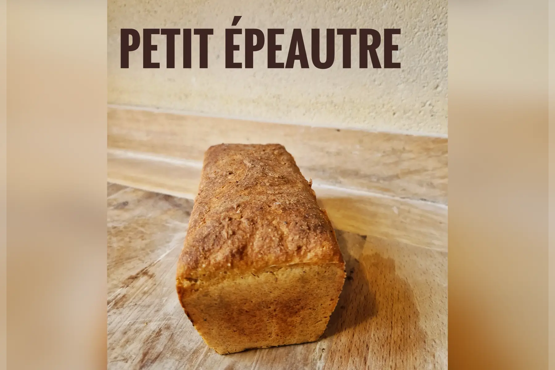 Petit épeautre