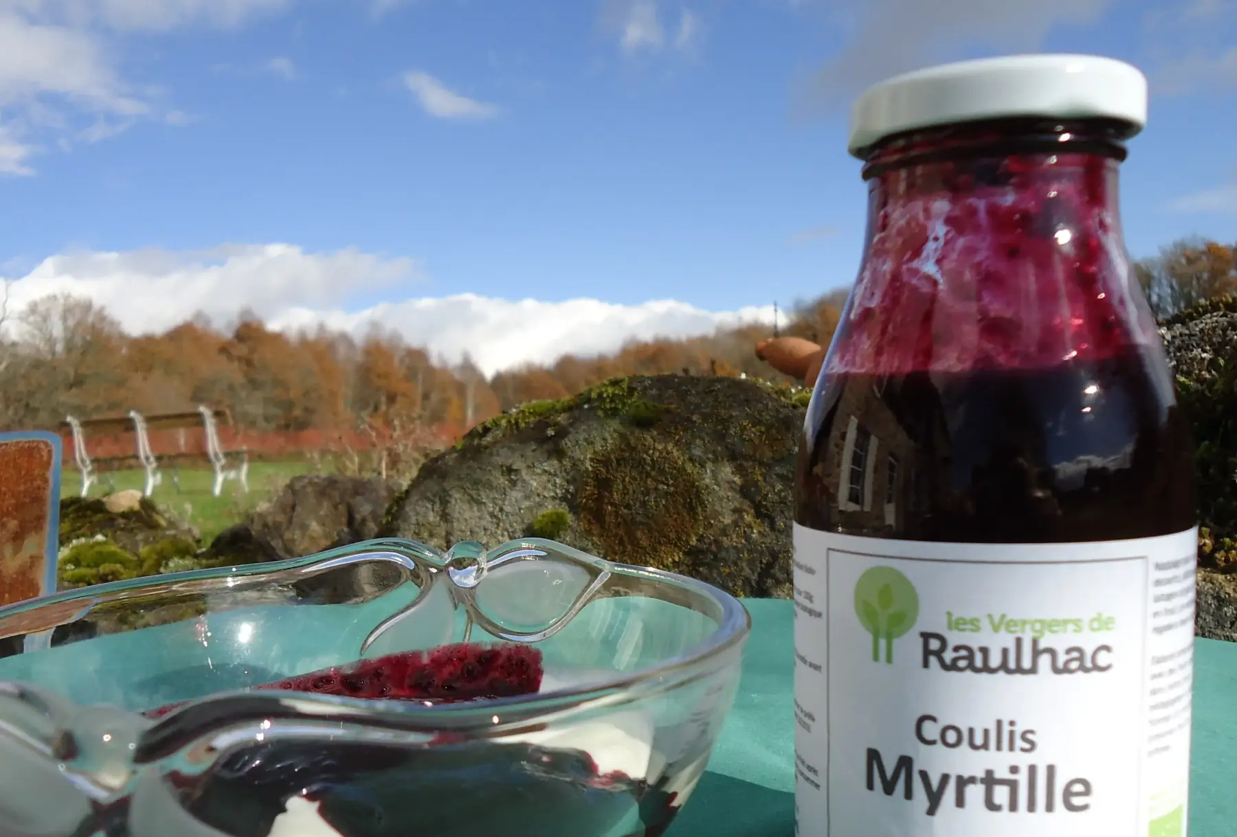Coulis de myrtille BIO