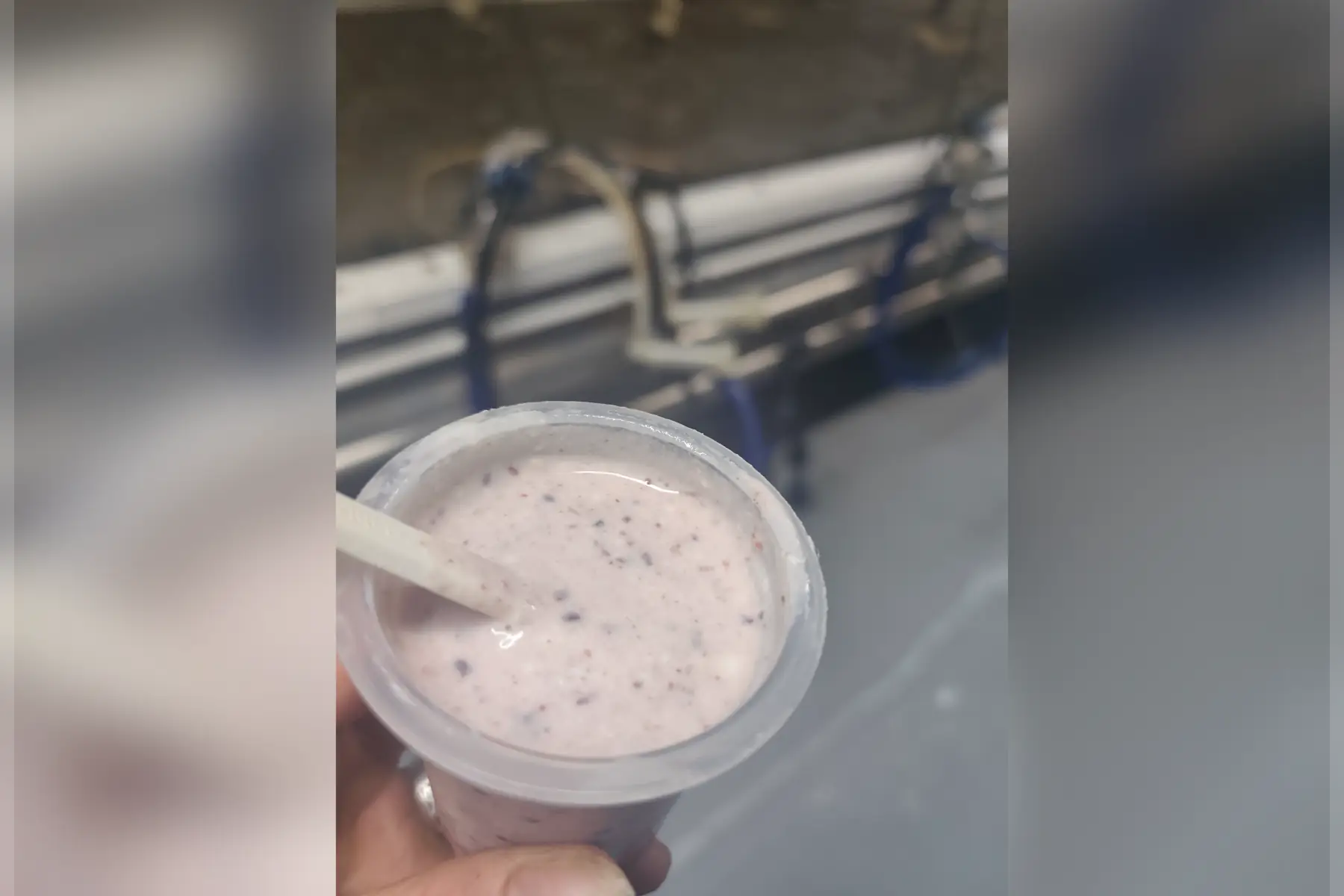 yaourts à la framboise