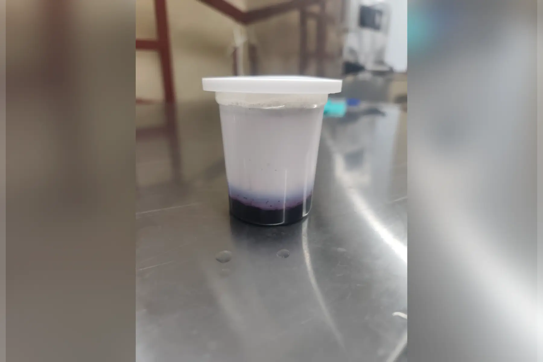 Yaourts à la myrtille sauvage