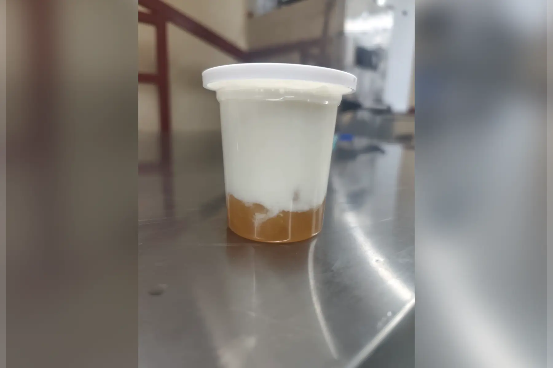 Yaourts à la pêche de vigne