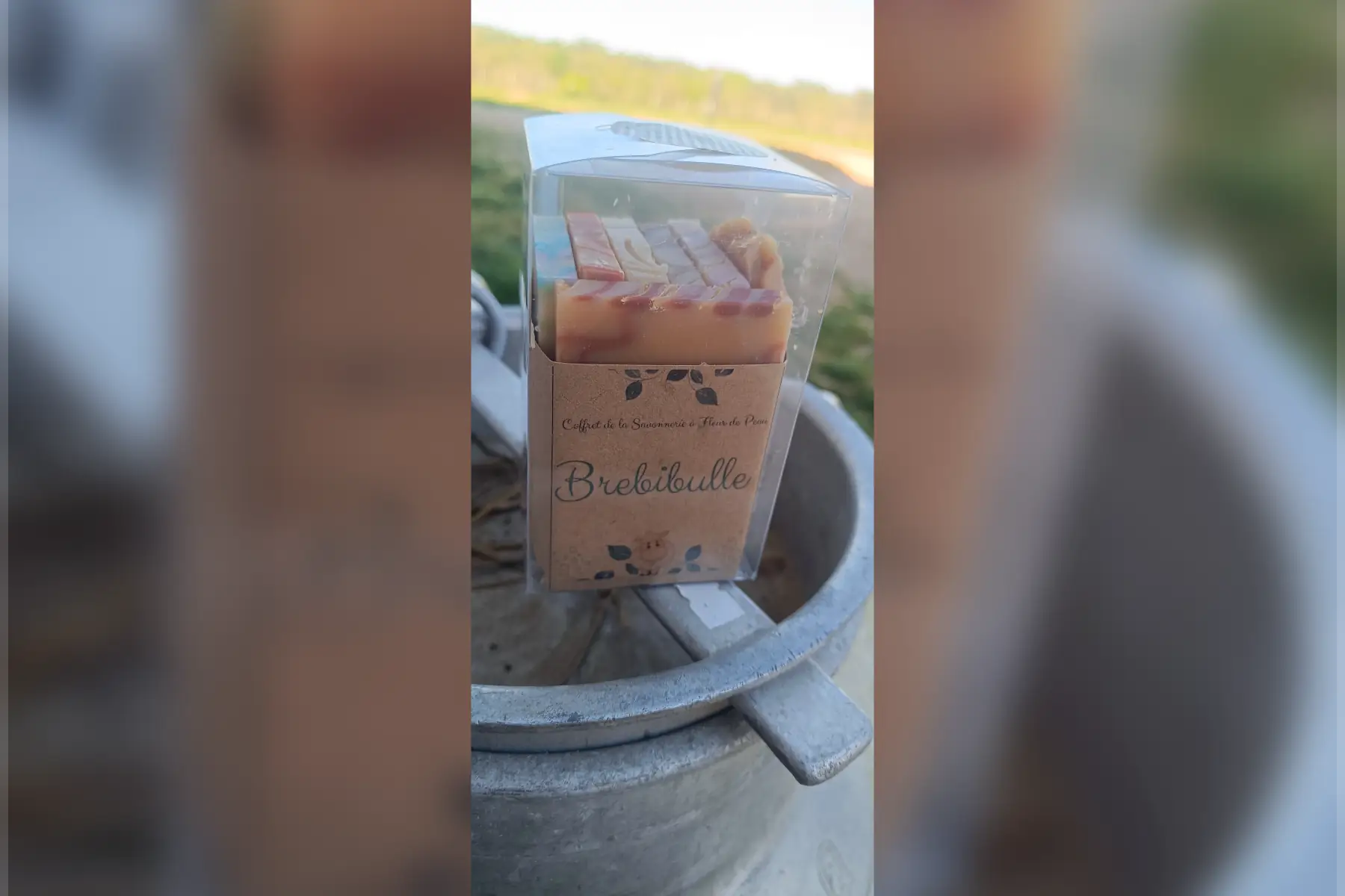 Coffret découverte Brebibulle