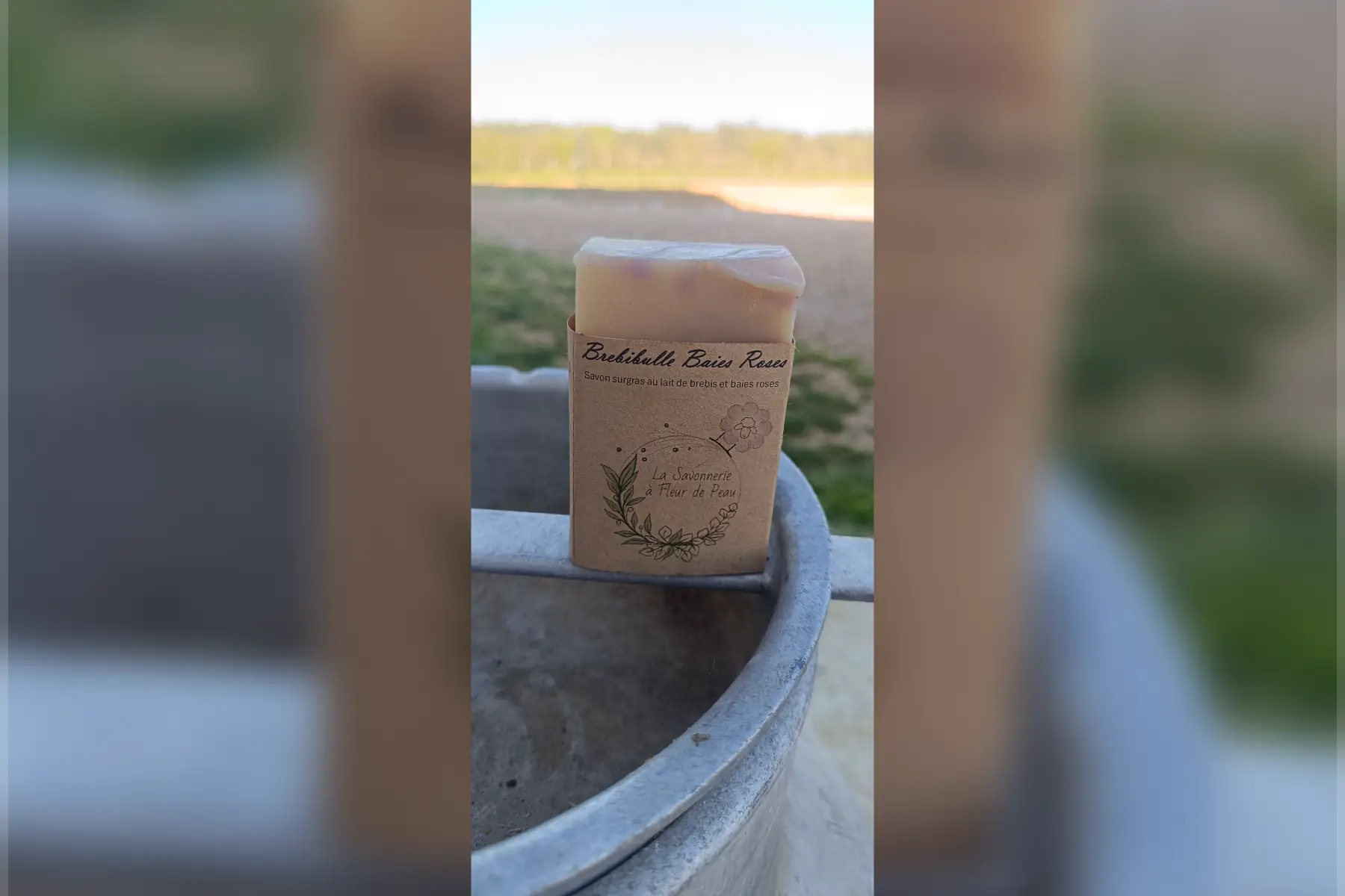 Brebibulle Baie Rose