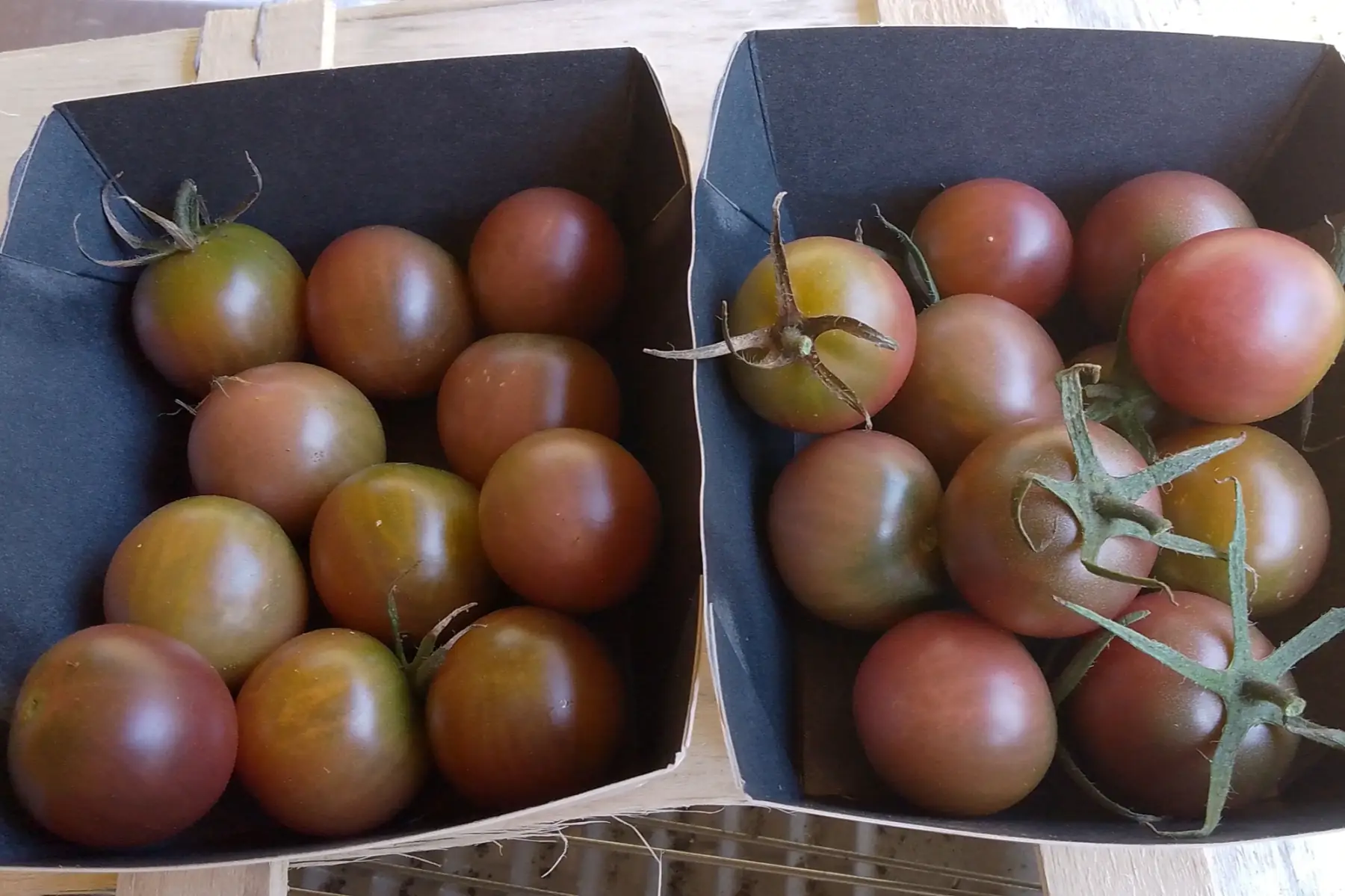 Tomates "Black Cherry" - 20 pieces