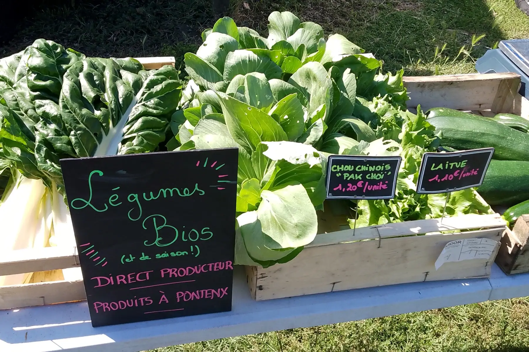 Ferme Terre et Merveilles