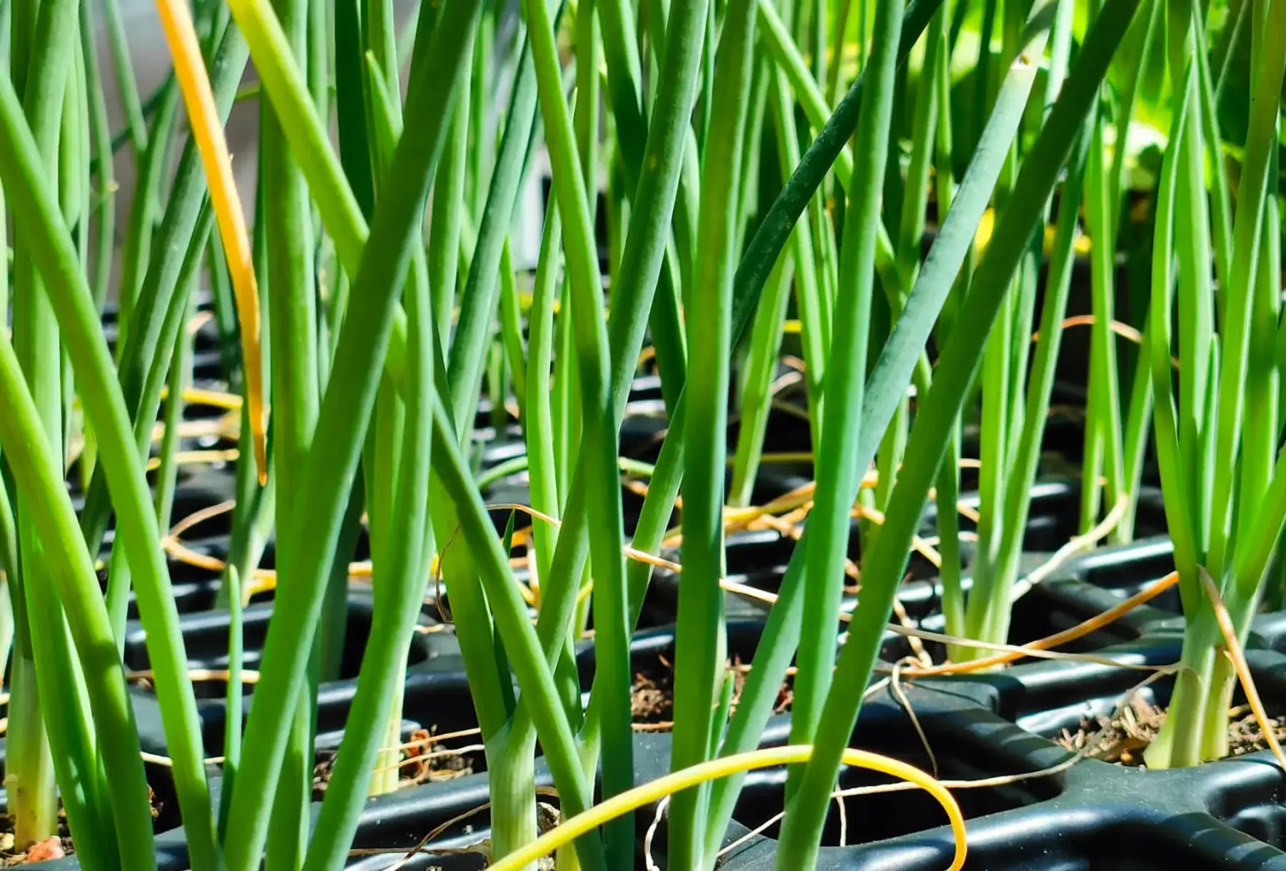 Ferme Terre et Merveilles