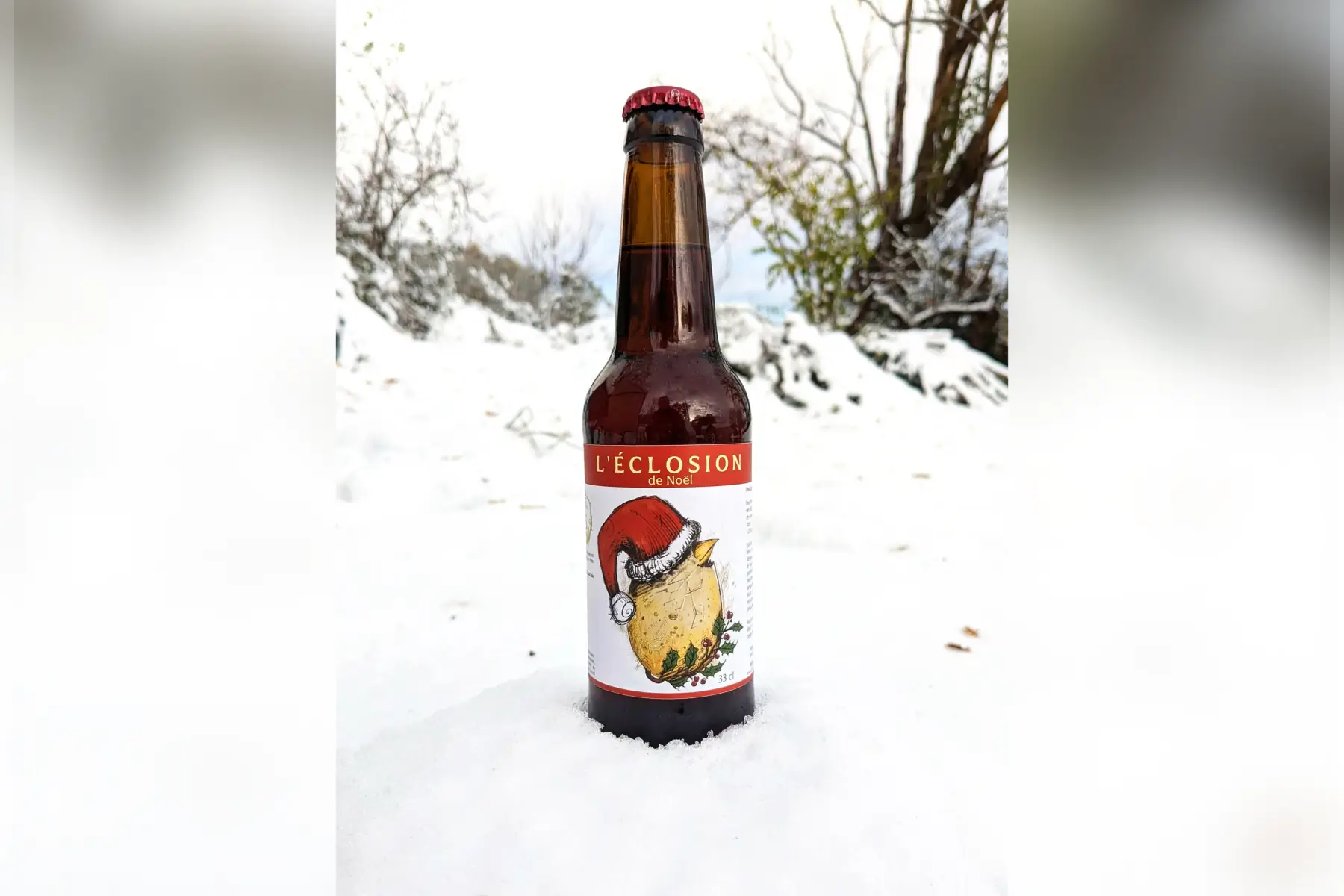 L'Éclosion de Noël