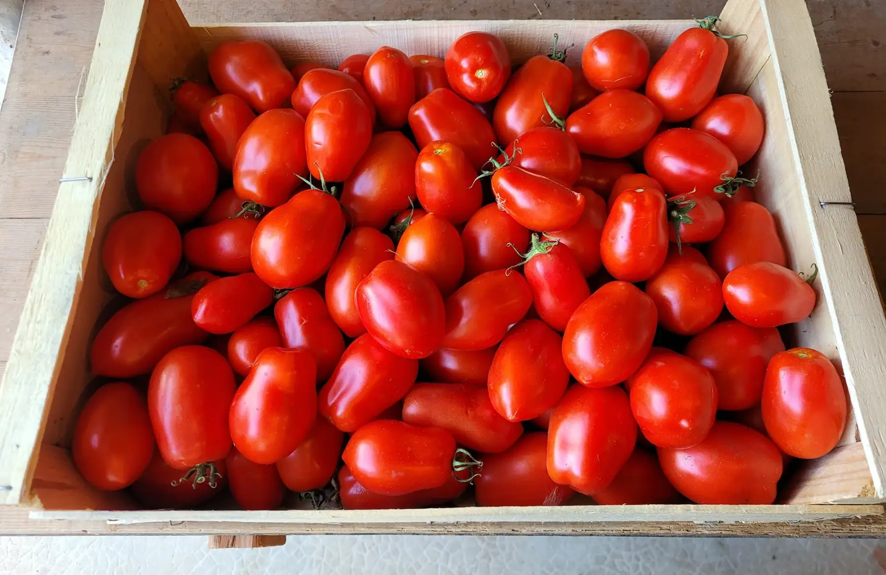 Colis de tomates