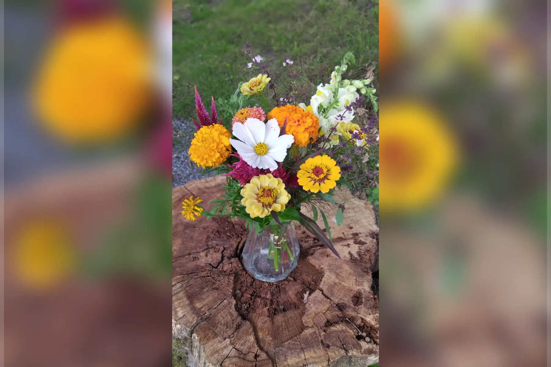 Bouquet de fleurs de saison