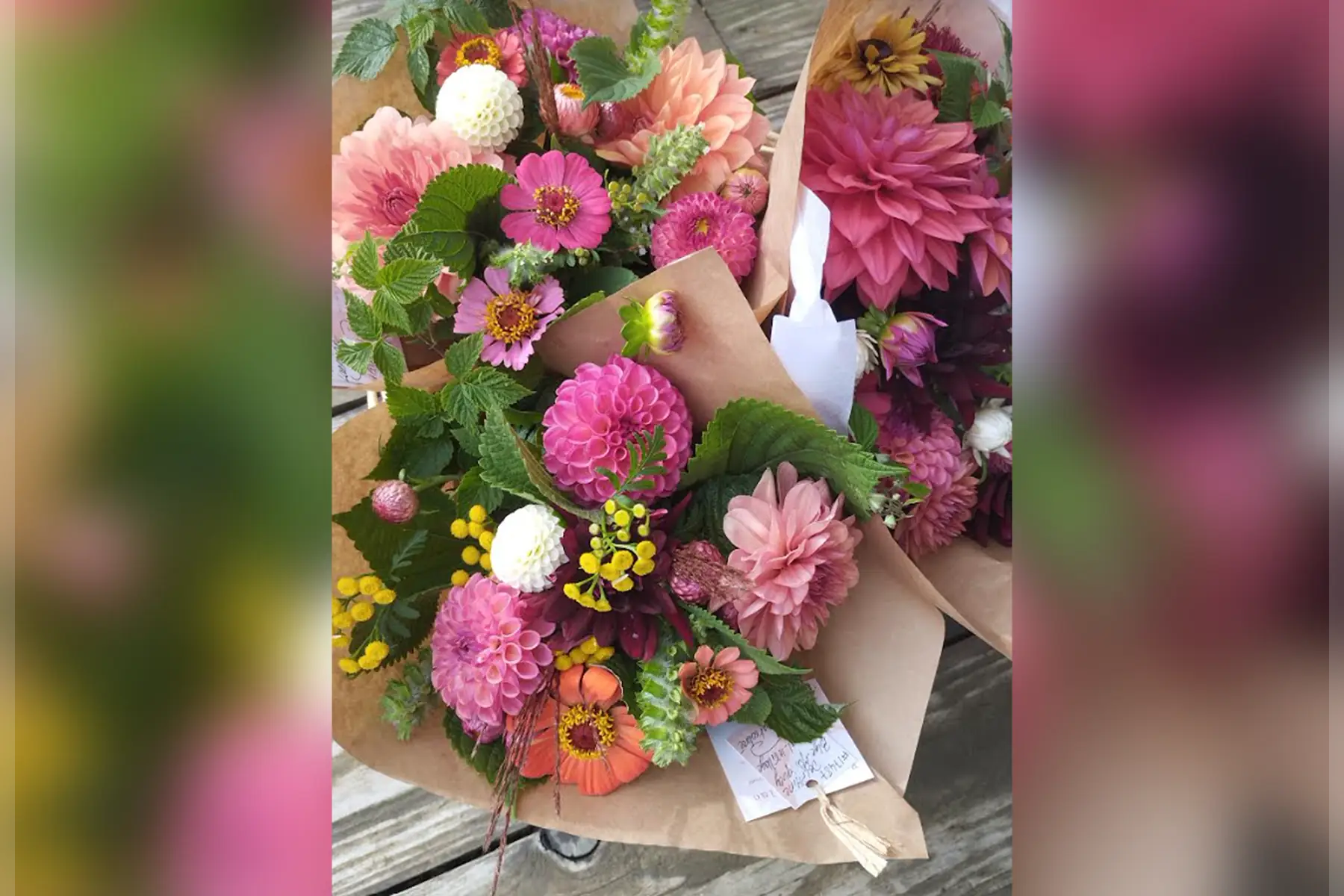 Ça pousse marguerite