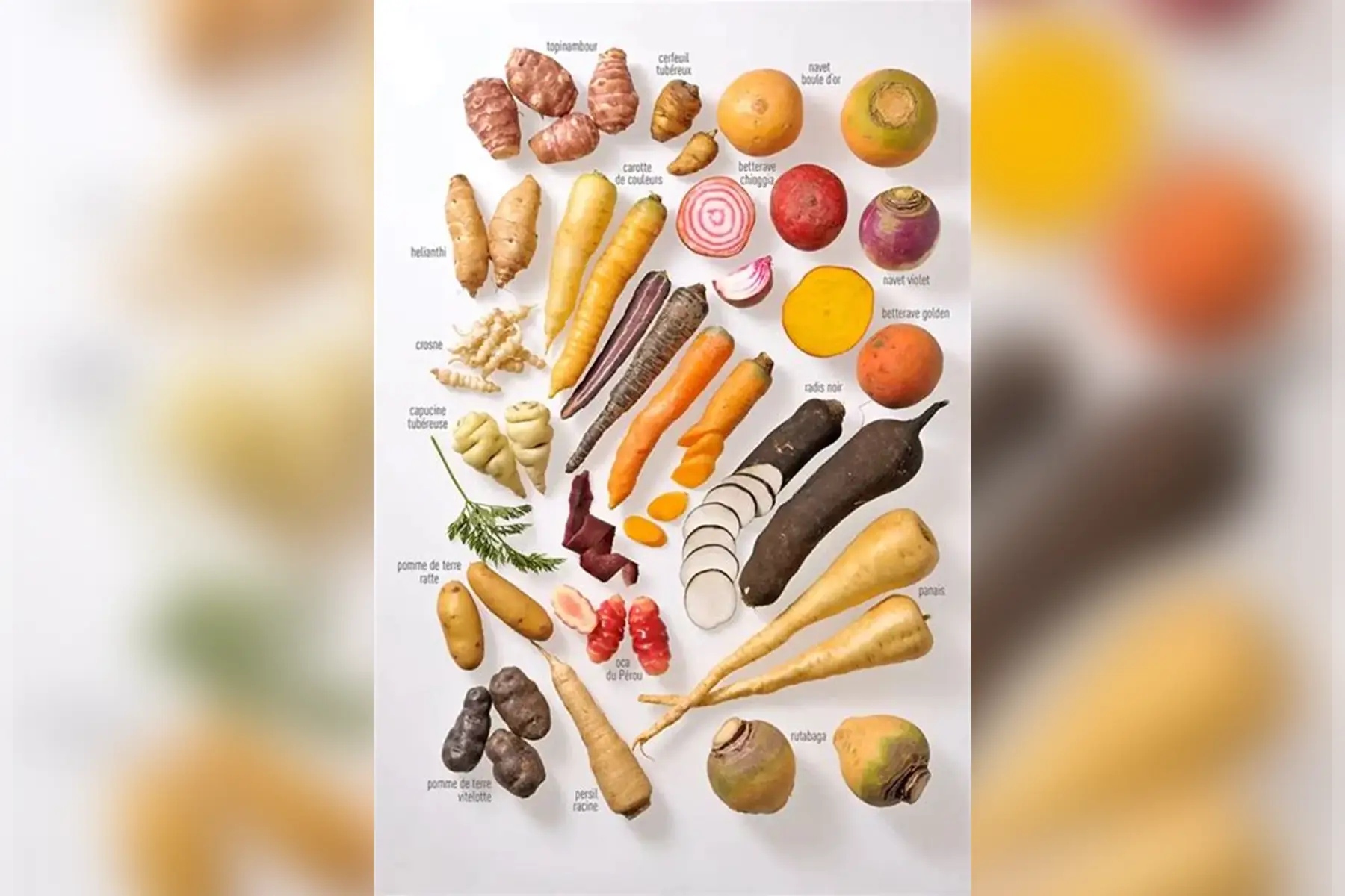 ✨️🥂🎄Sélection spéciale Fêtes 🎄🥂✨️