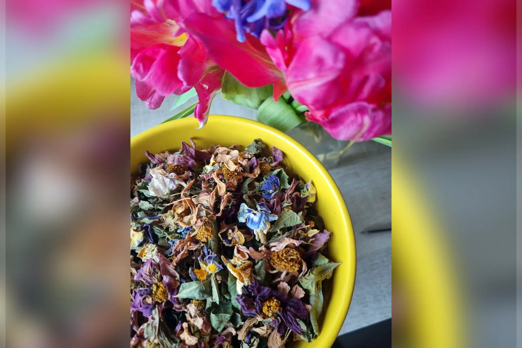 Tisane Détox "Ôde au printemps" Bio 30g