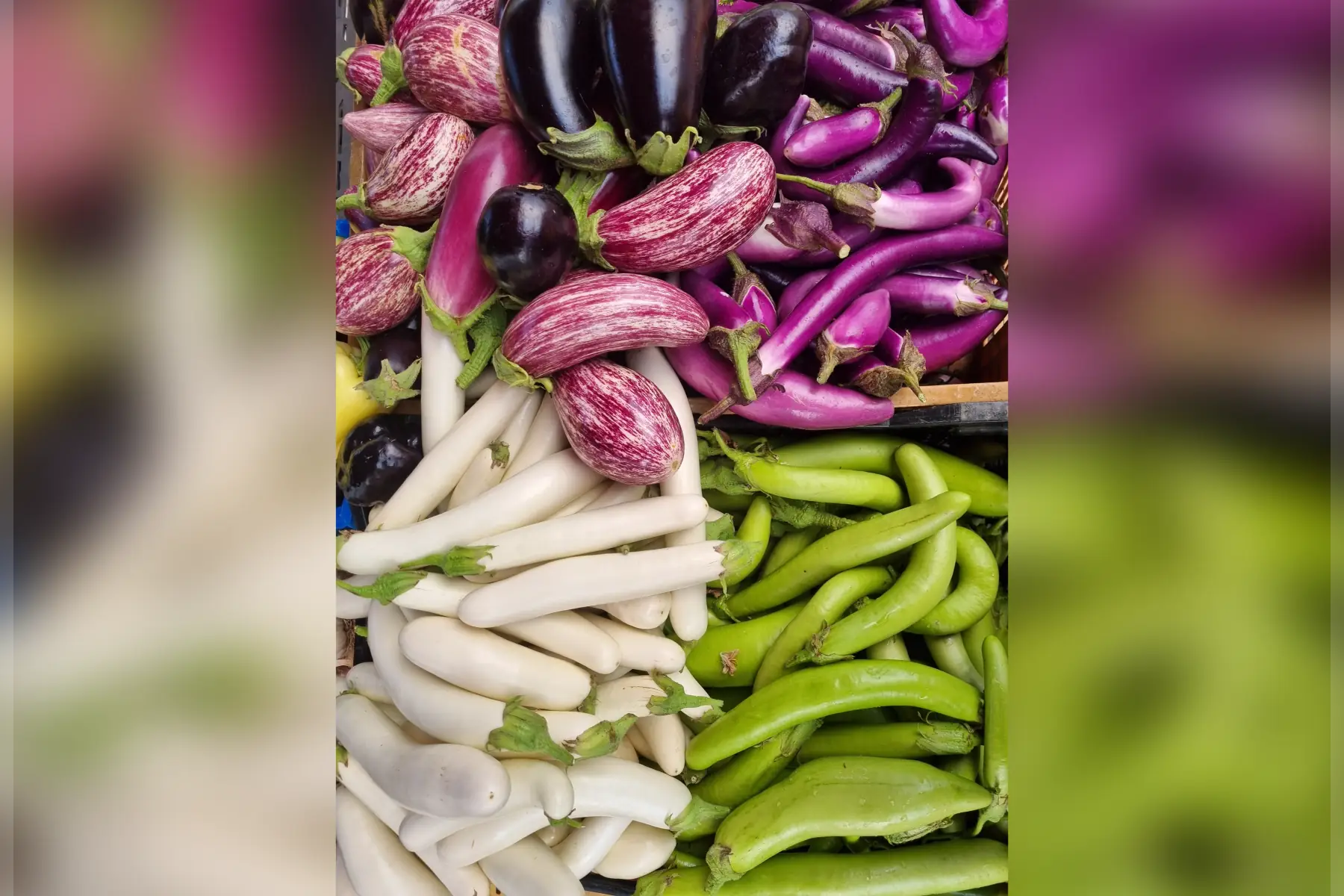 Aubergine Bio (au choix)