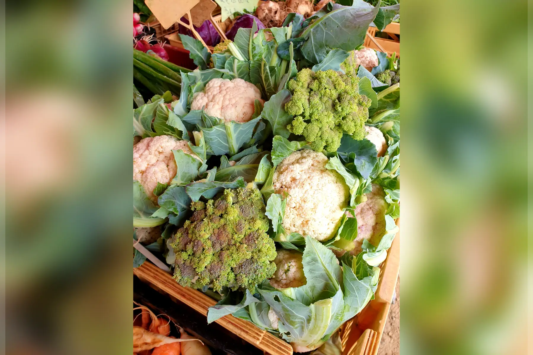 Chou fleur/Brocolis (au choix)