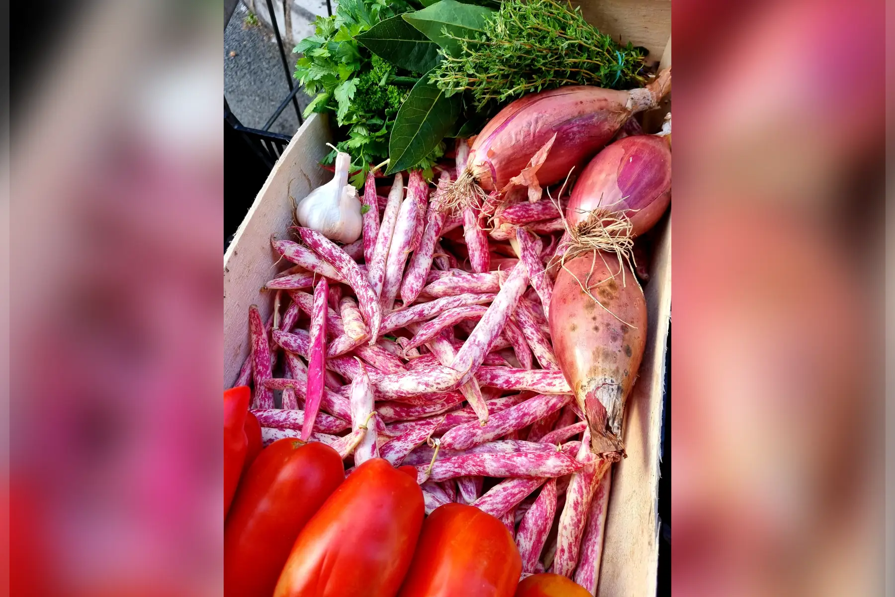 Haricots ½ sec Borlotto