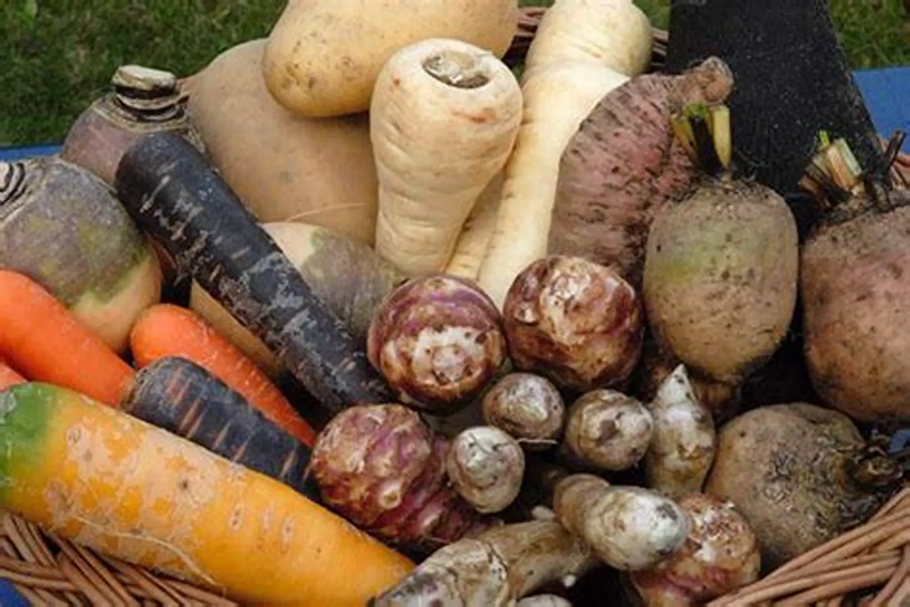 Légumes racines bio (au choix)
