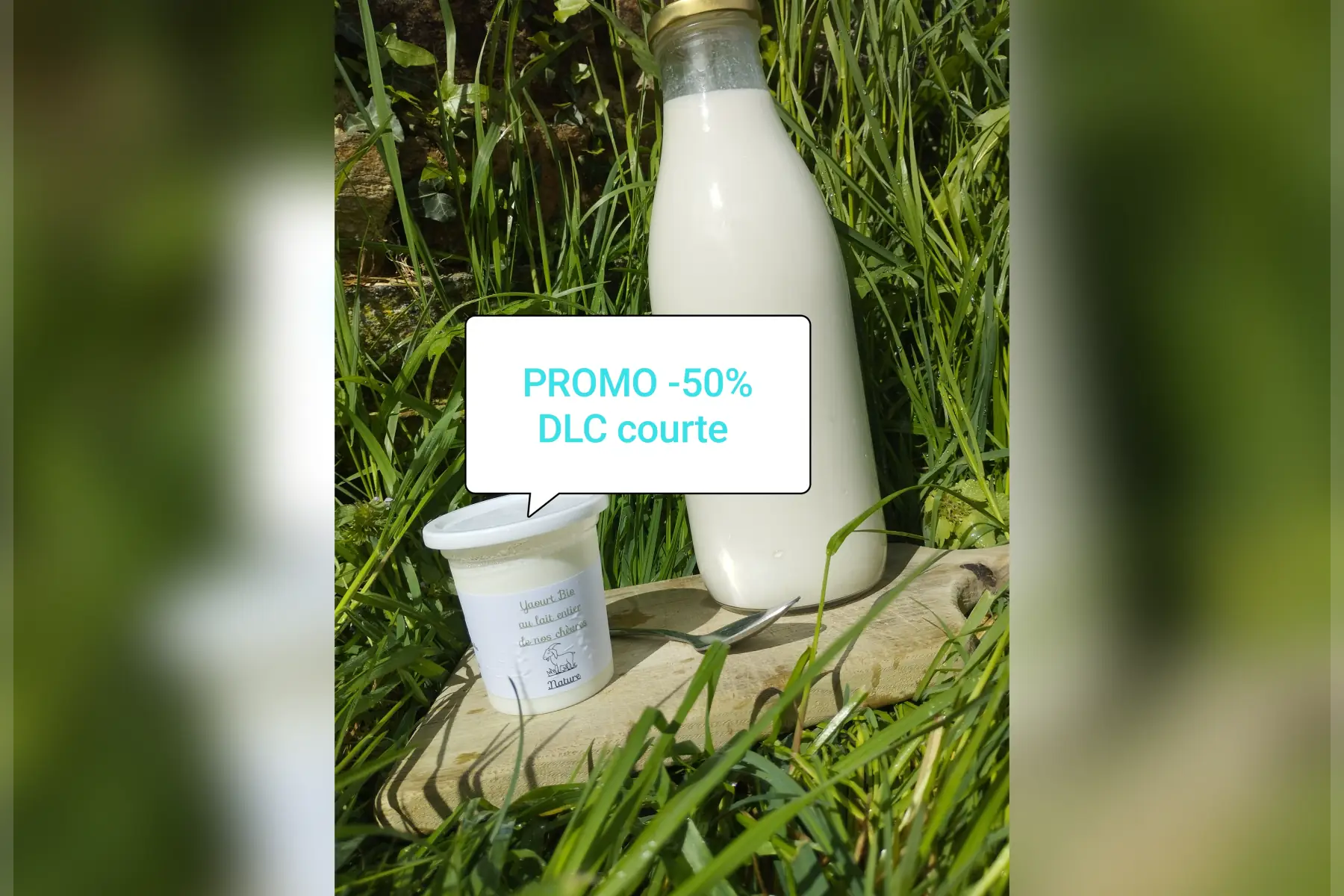 Promo yaourts chèvre nature