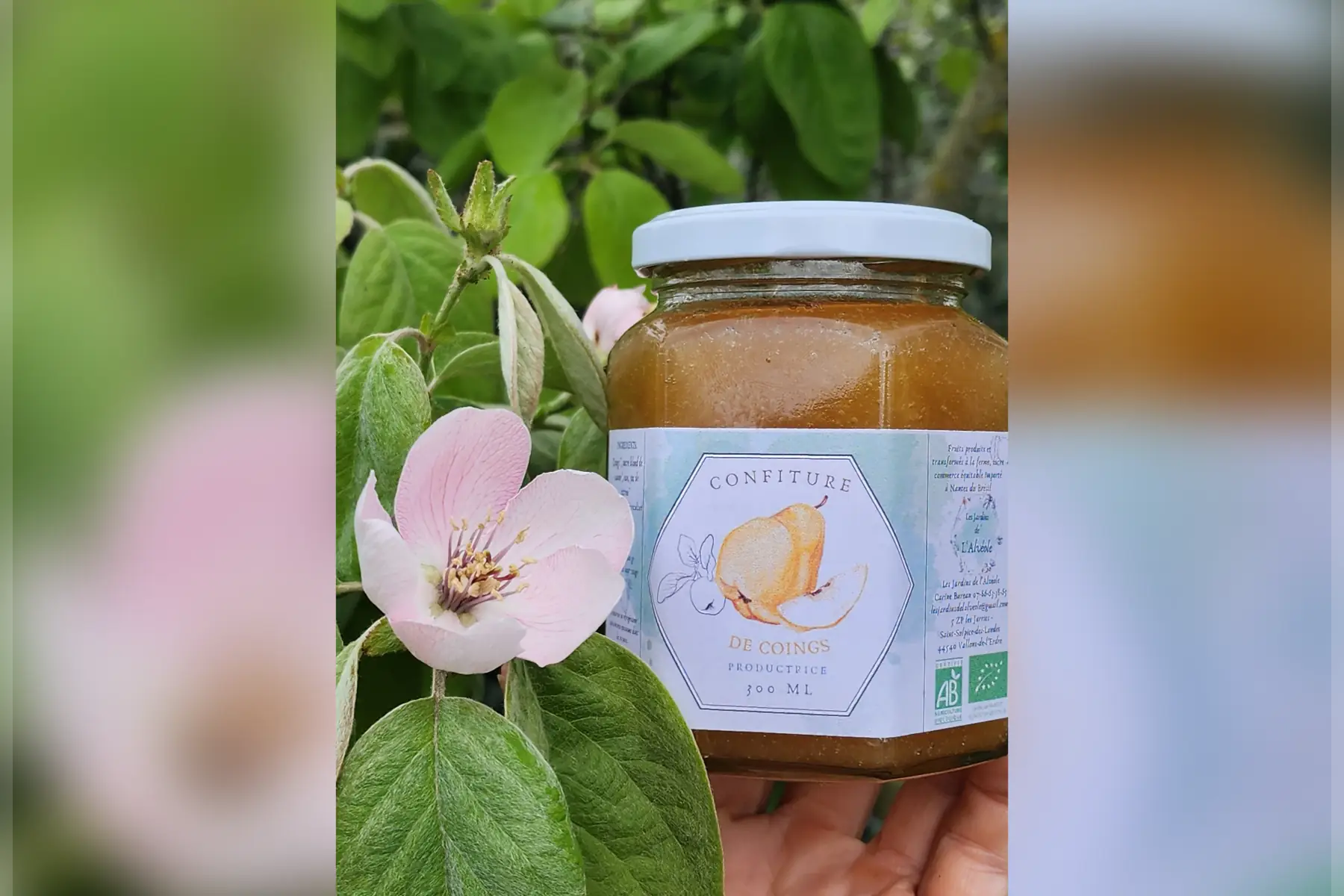 Confiture Coings  300 ml