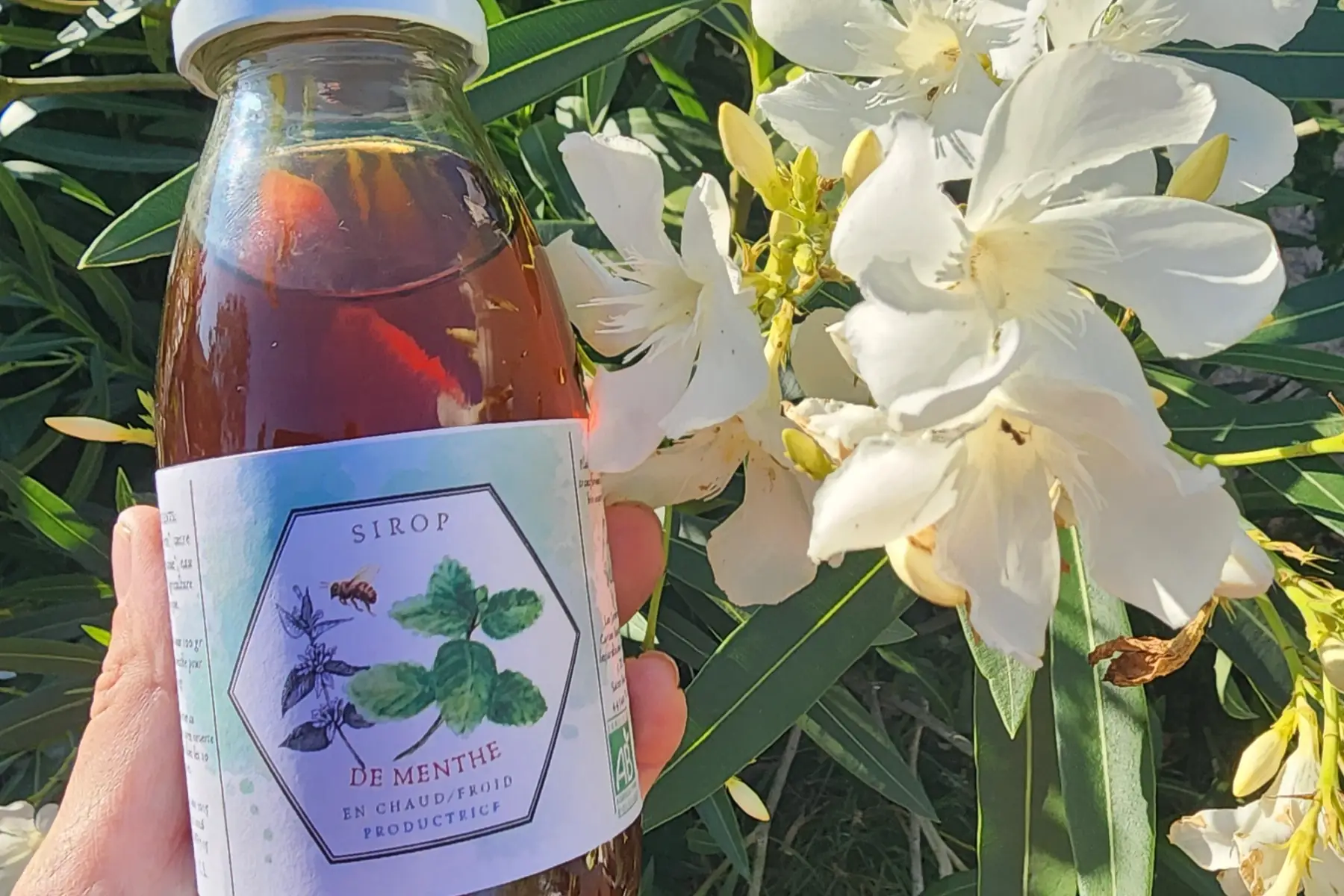 Sirop Menthe Verte      28 cl