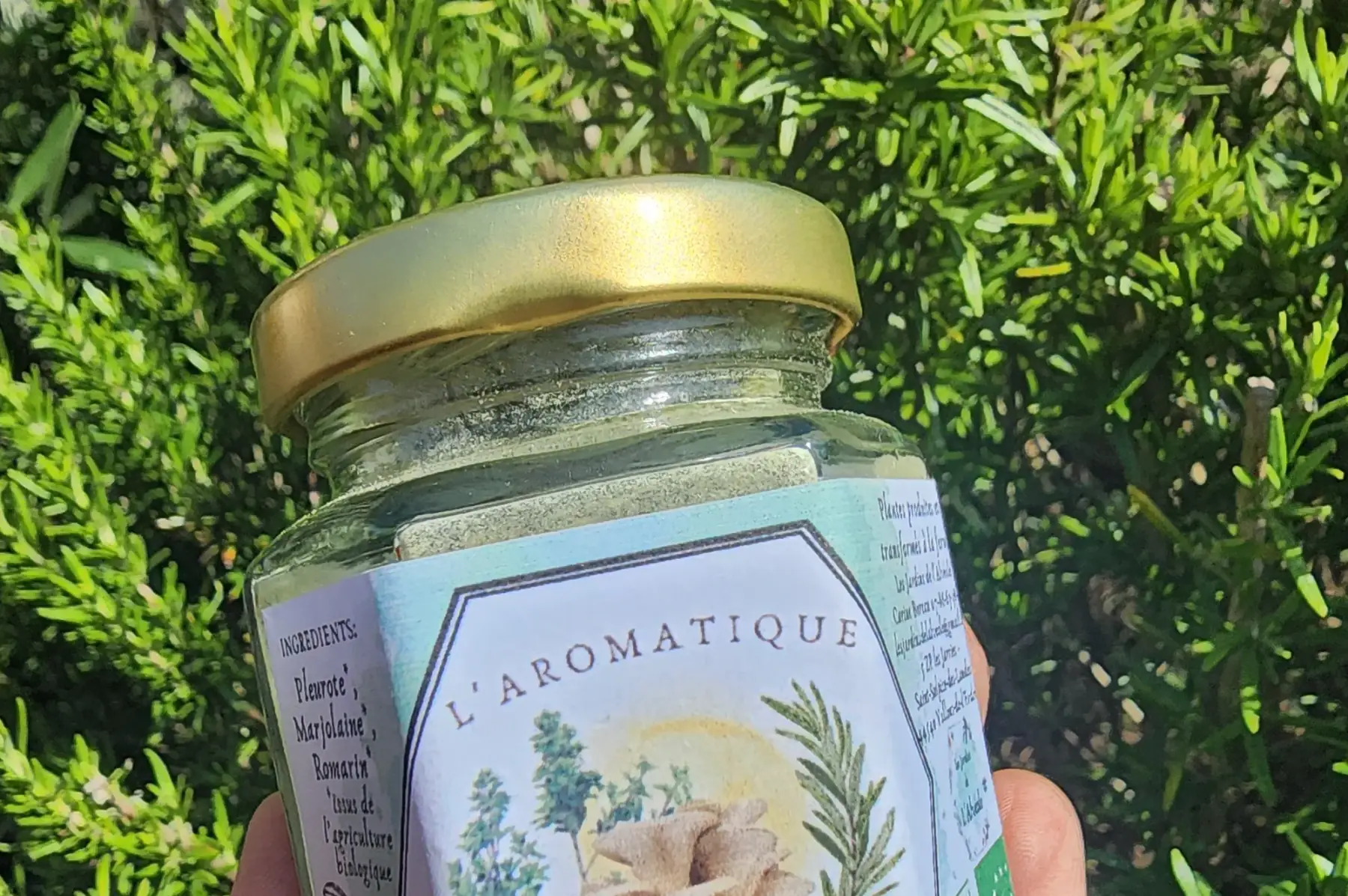 L'aromatique- La Forestière (pleurote)   30 gr