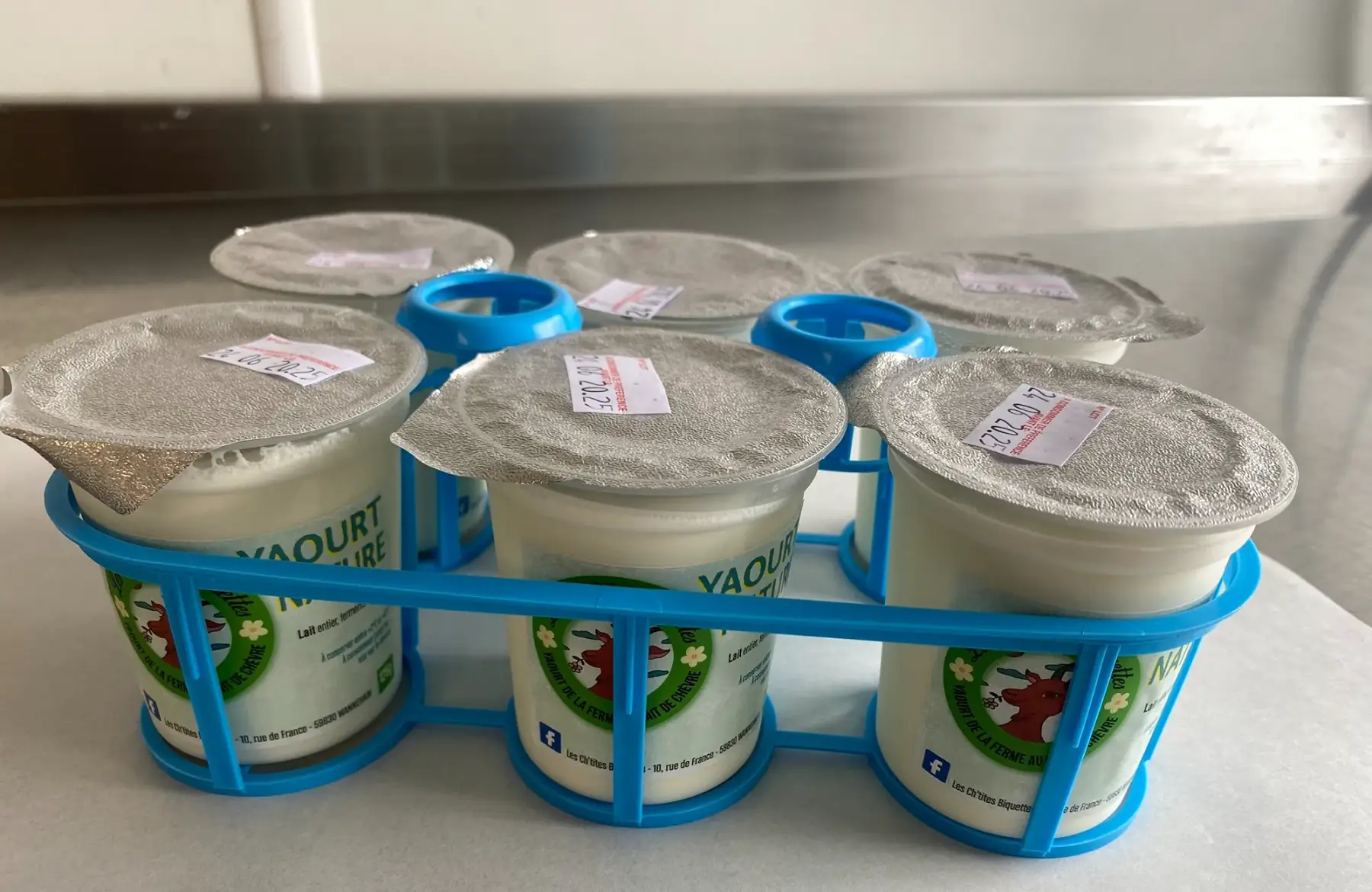 Pack de 6 yaourts de chèvre natures