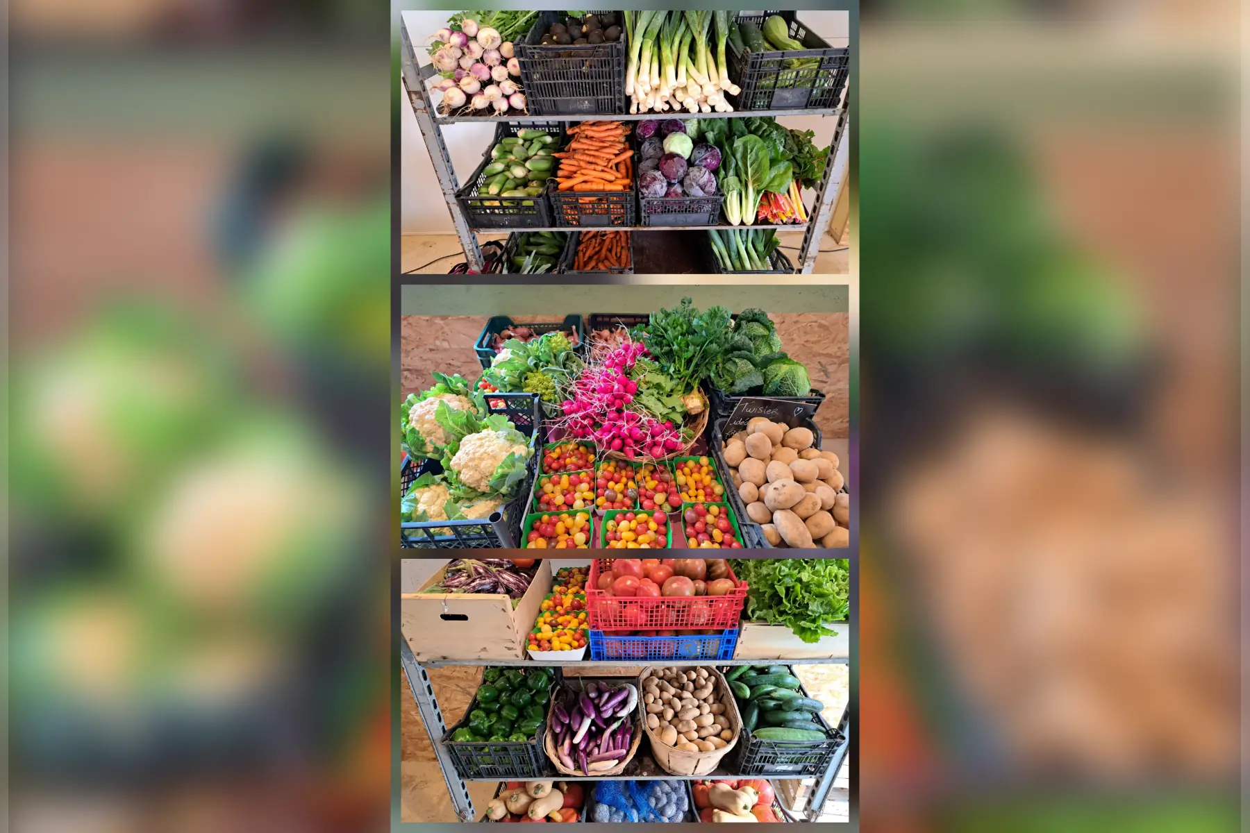 Panier de légumes de saison (3 à 4 parts)