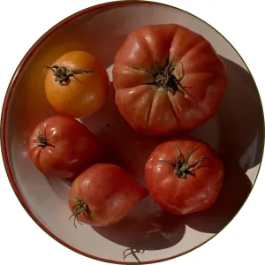 la ferme des roselieres