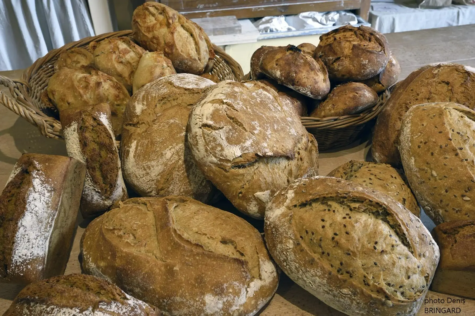 GAEC de la modestine