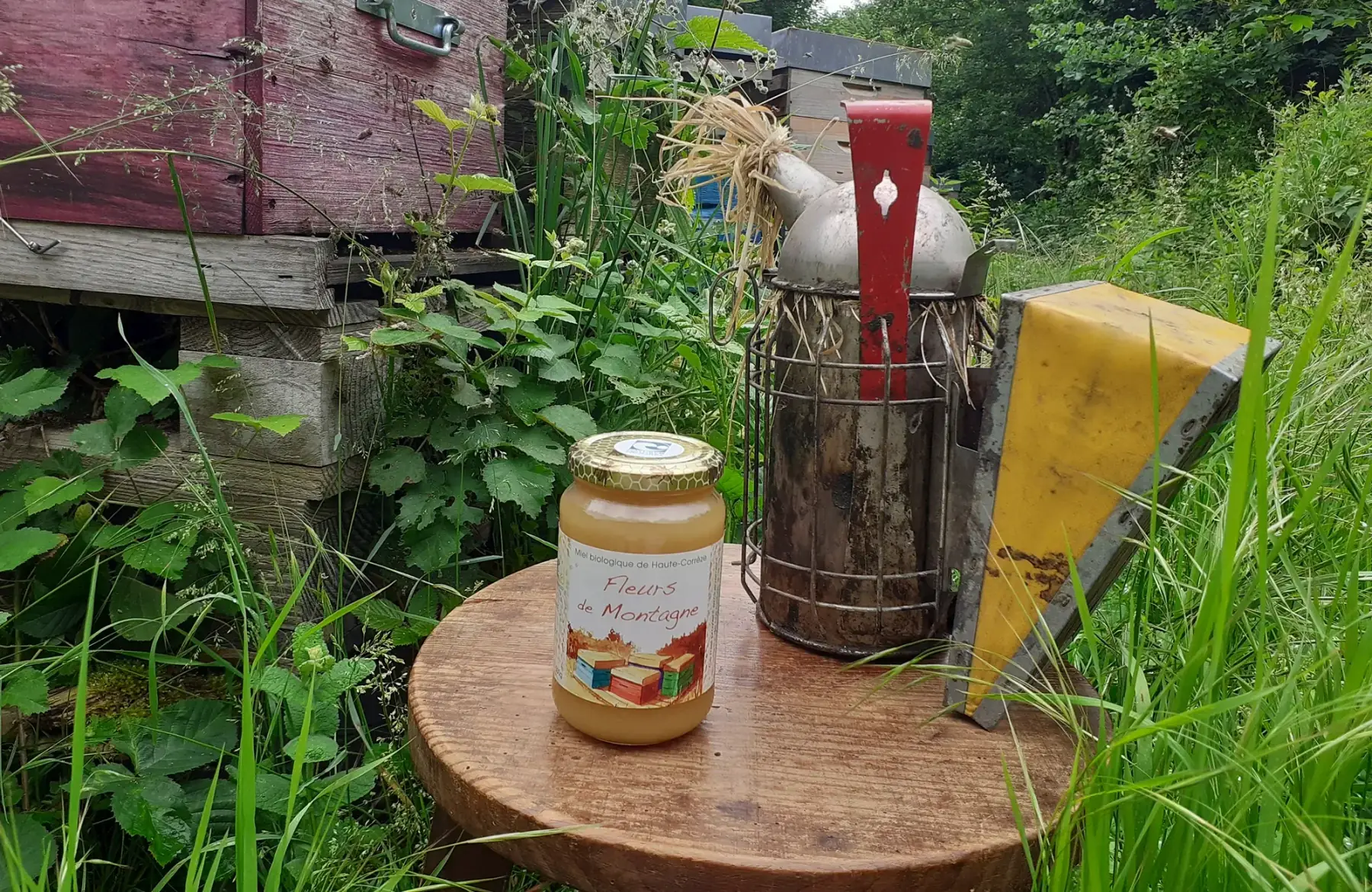 Miel de Fleurs de Montagne BIO