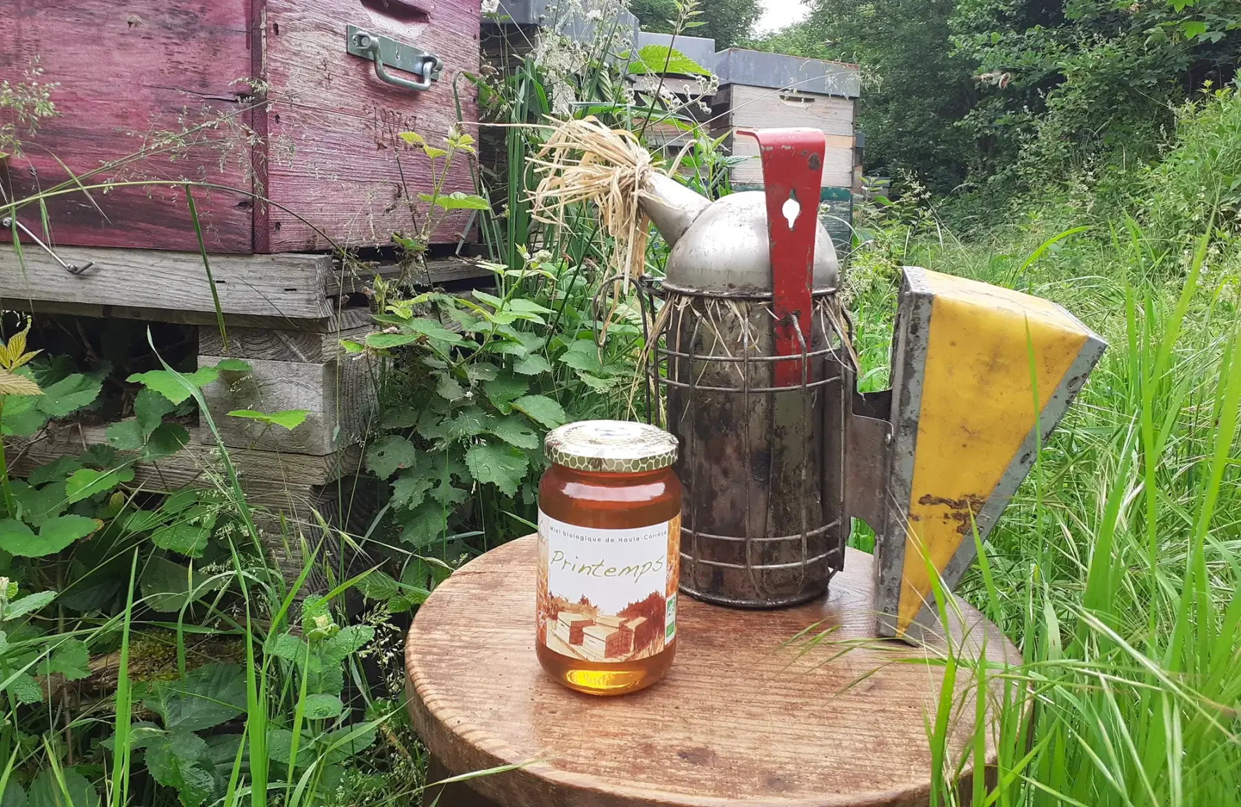 Miel de Printemps BIO