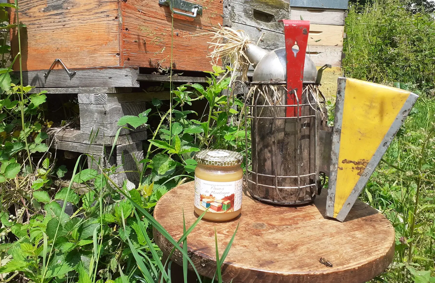 Miel de Fleurs de Montagne BIO