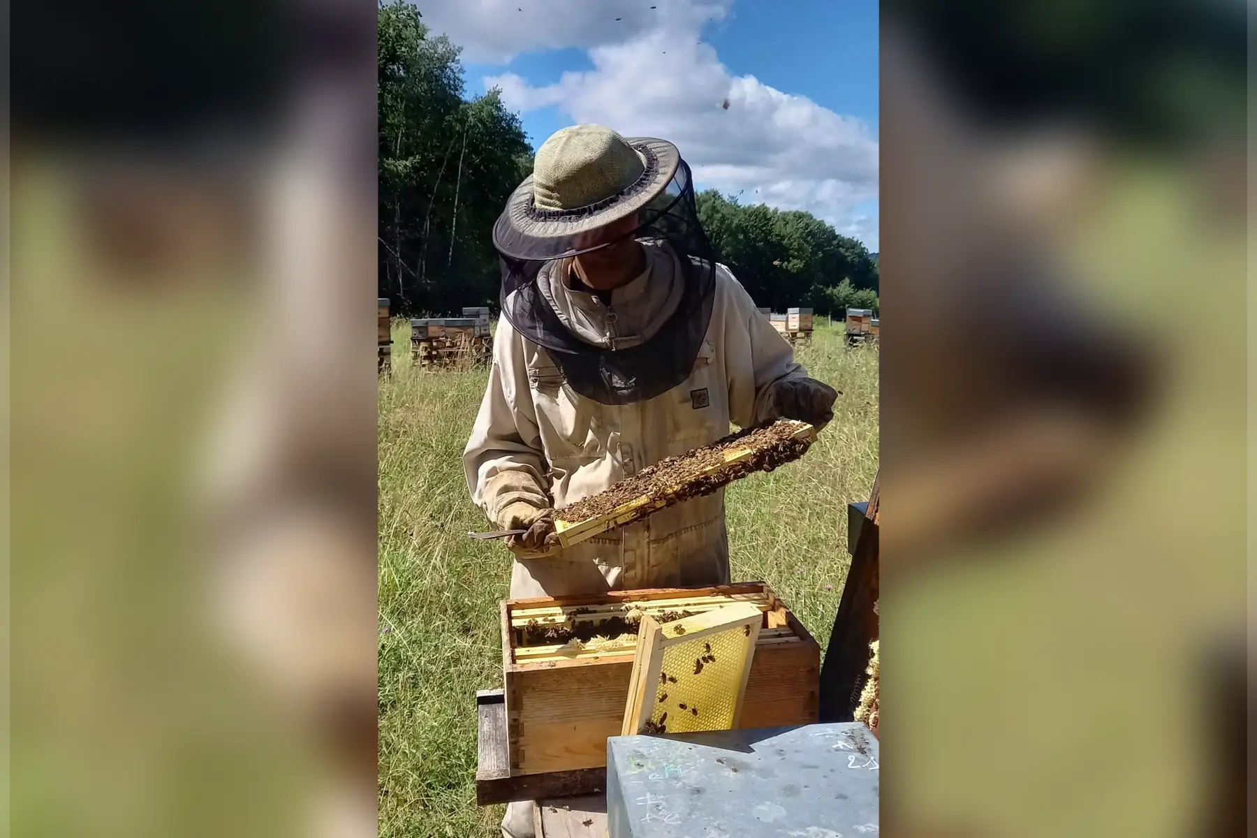 La Ruche à Six Pattes